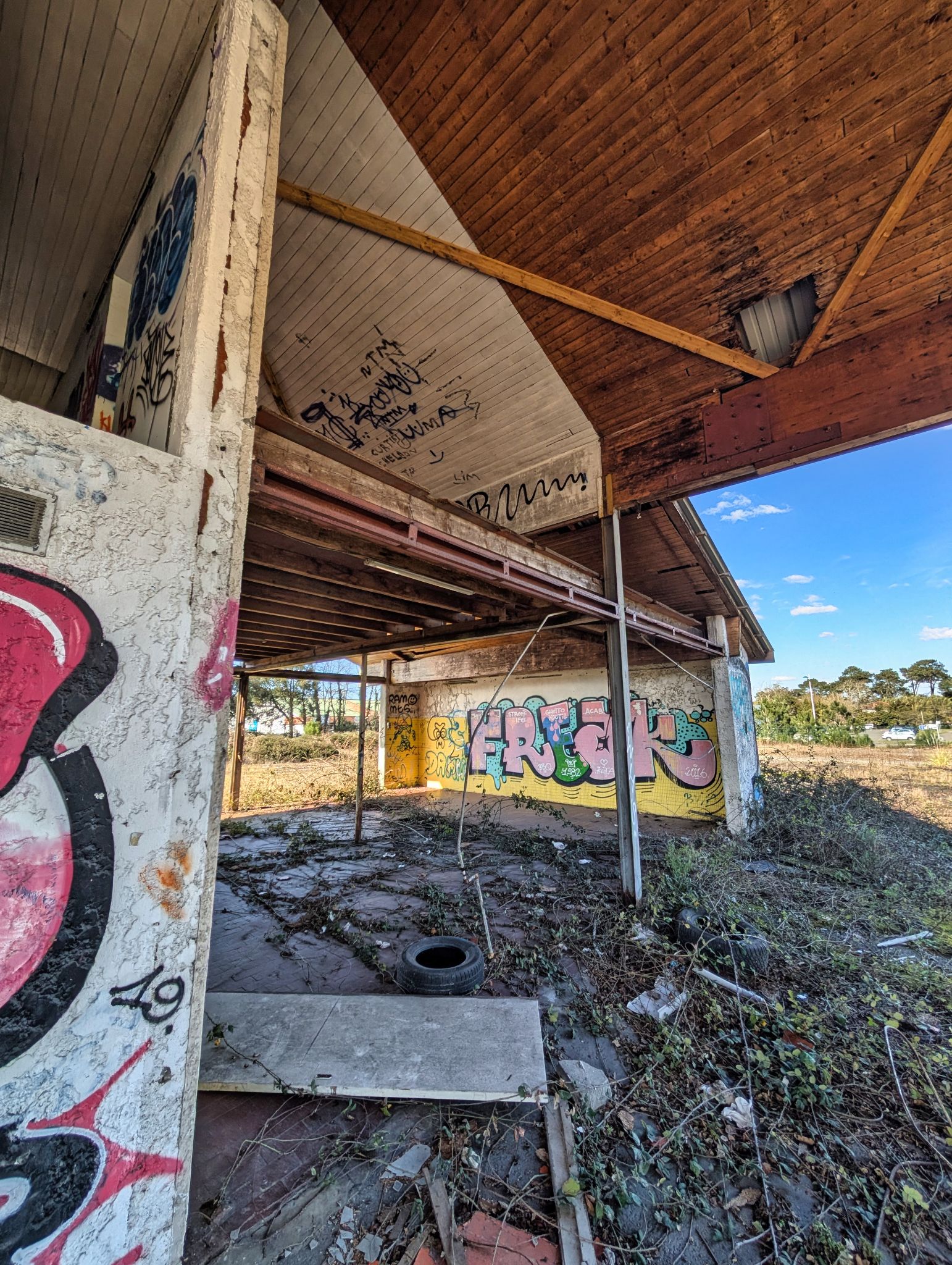 PXL 20250319 143653069