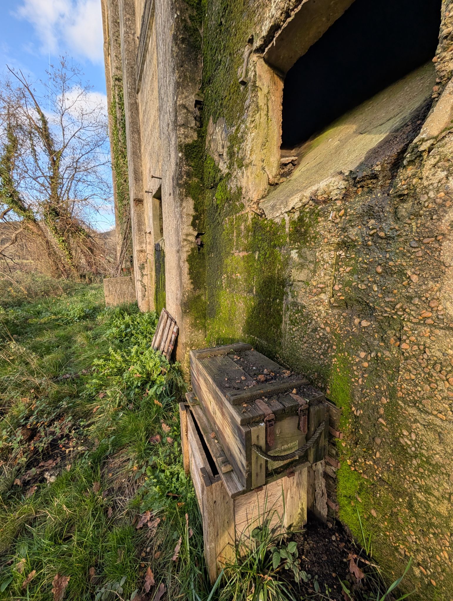 PXL 20251212 143826541