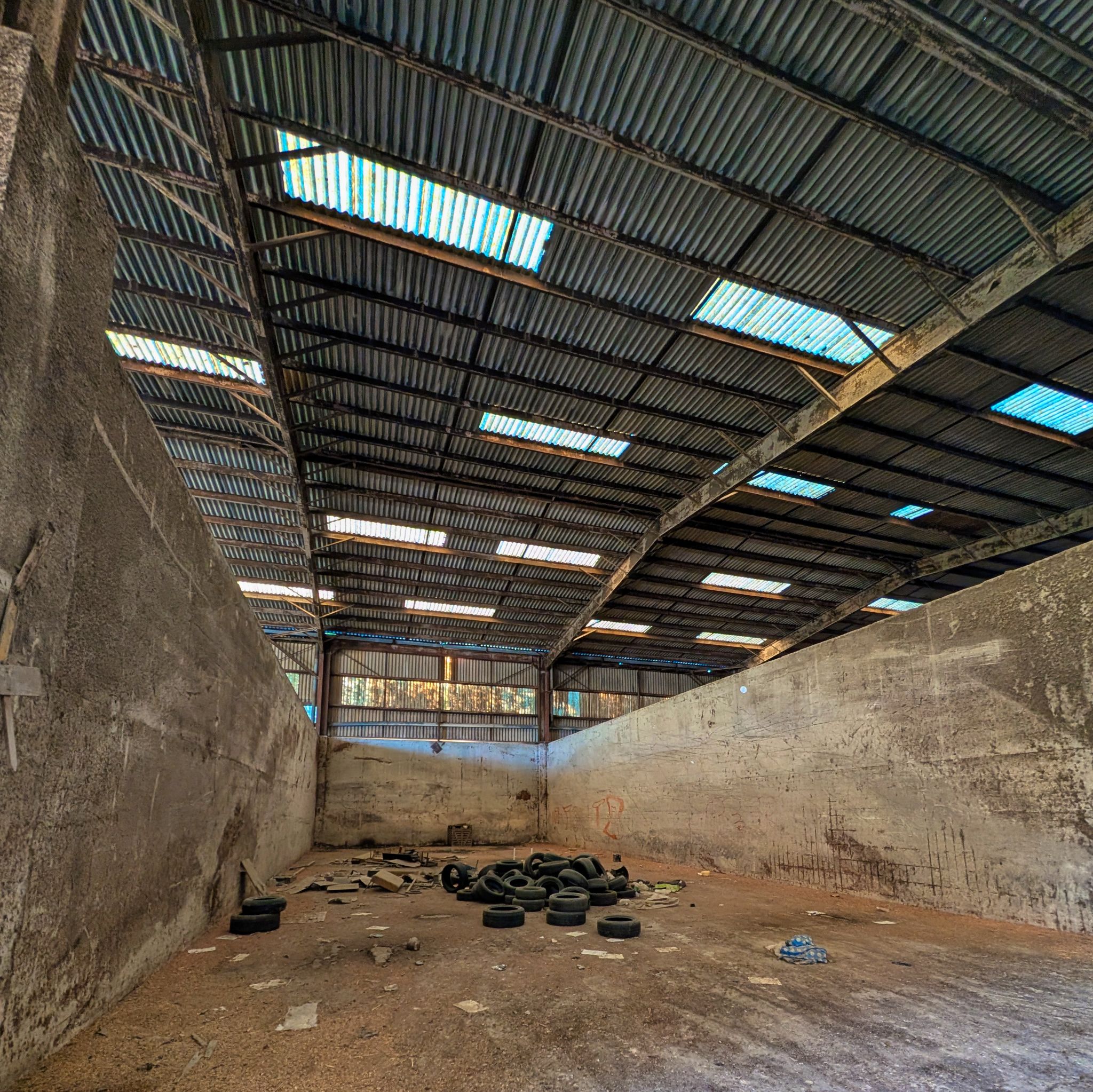 PXL 20250930 154013727