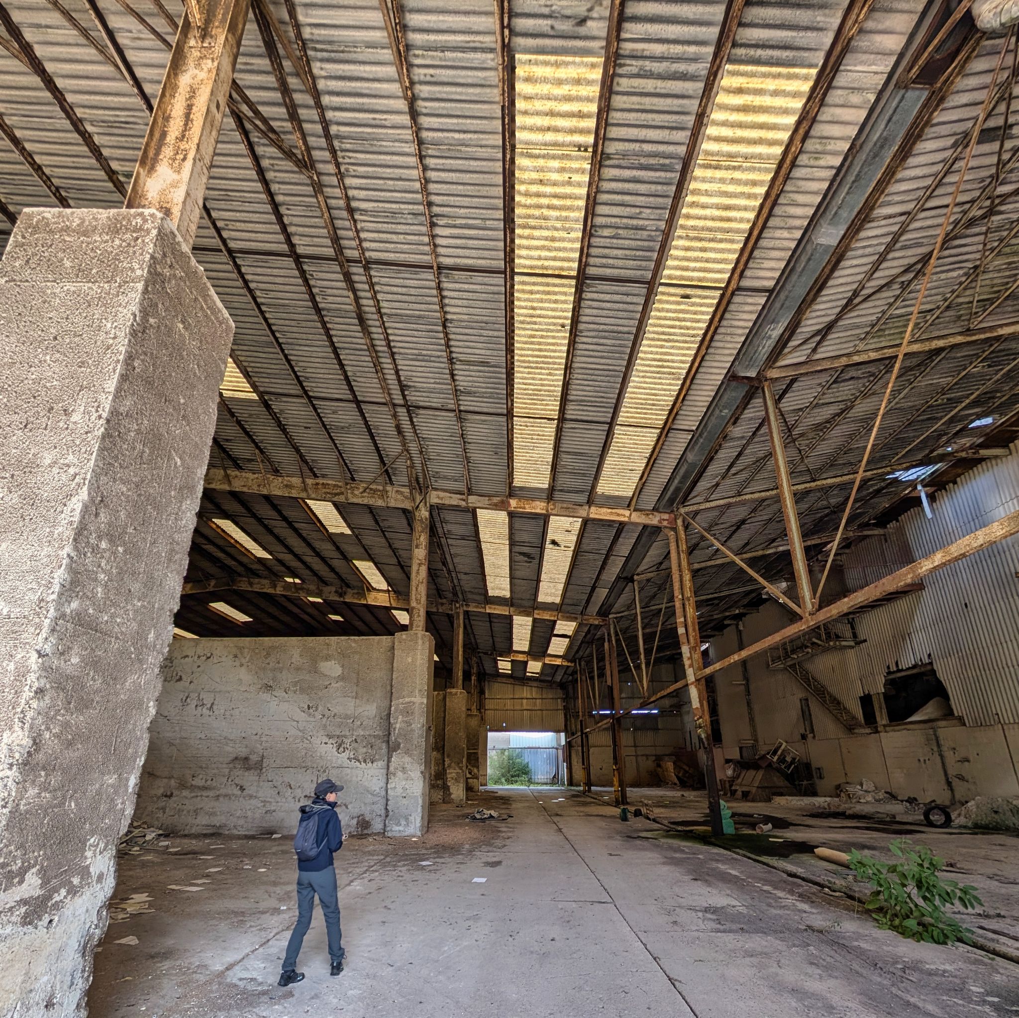 PXL 20251005 112207149