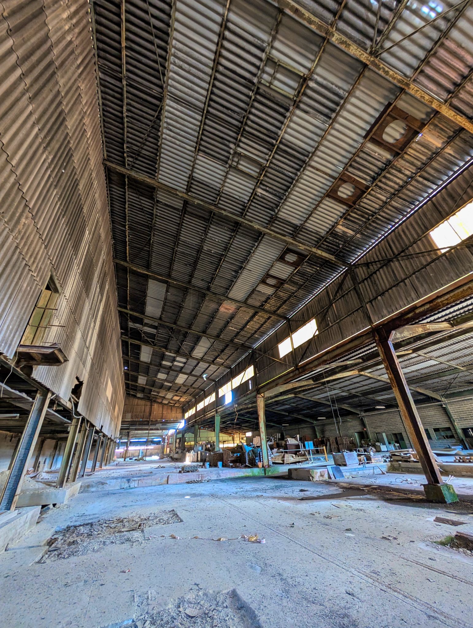 PXL 20251005 113206393