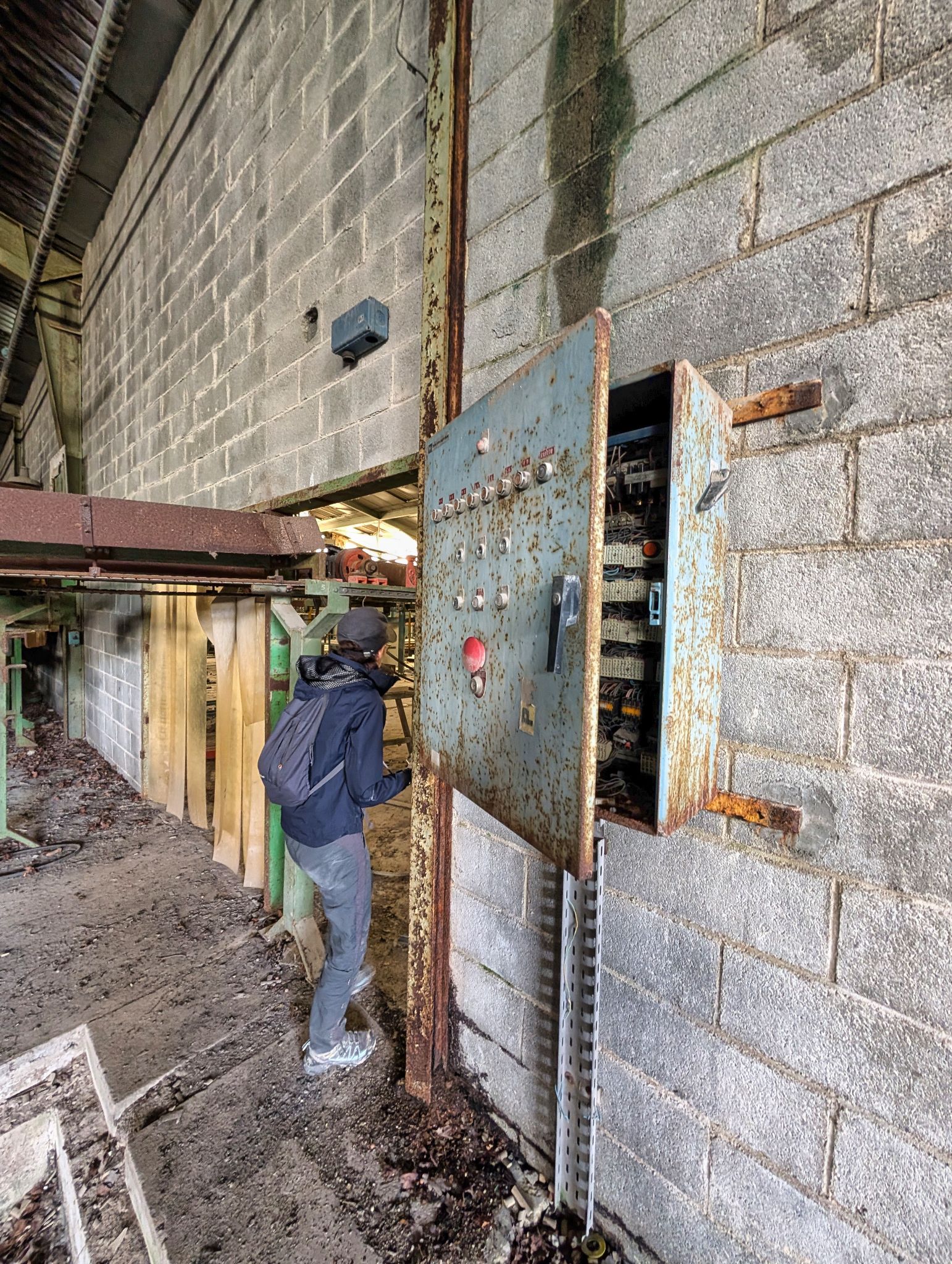 PXL 20251005 113542104