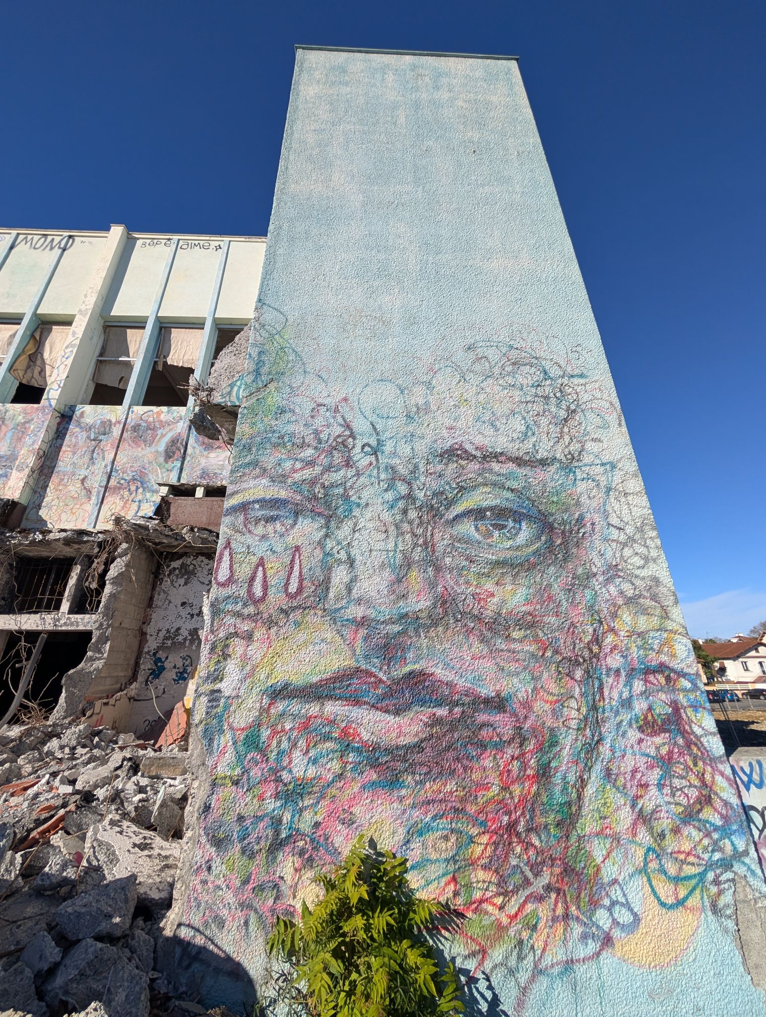 PXL 20251122 124123385