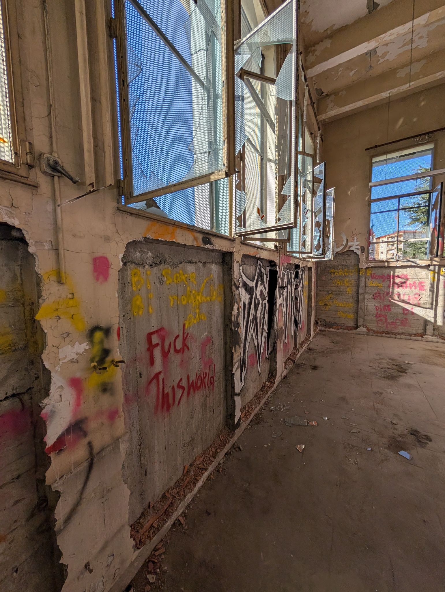 PXL 20251122 124849756