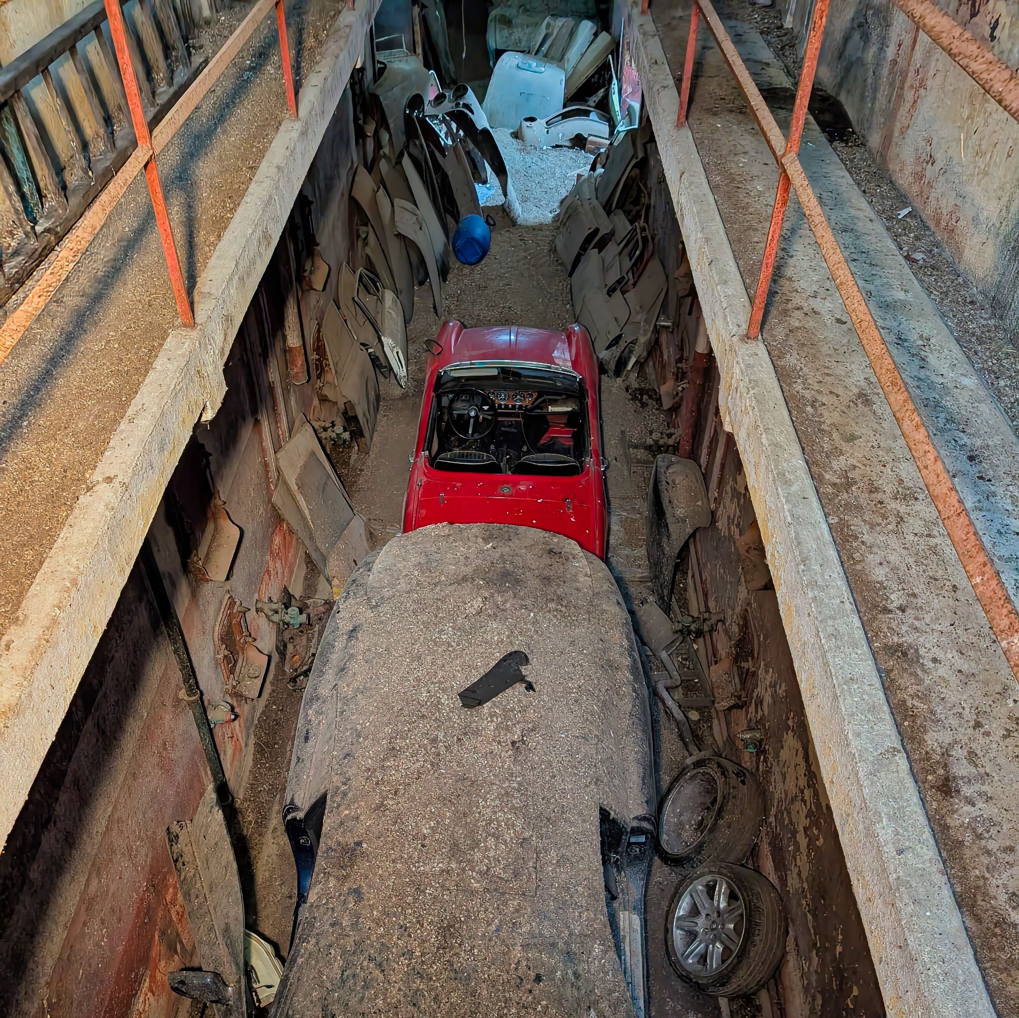 PXL 20250727 074920788