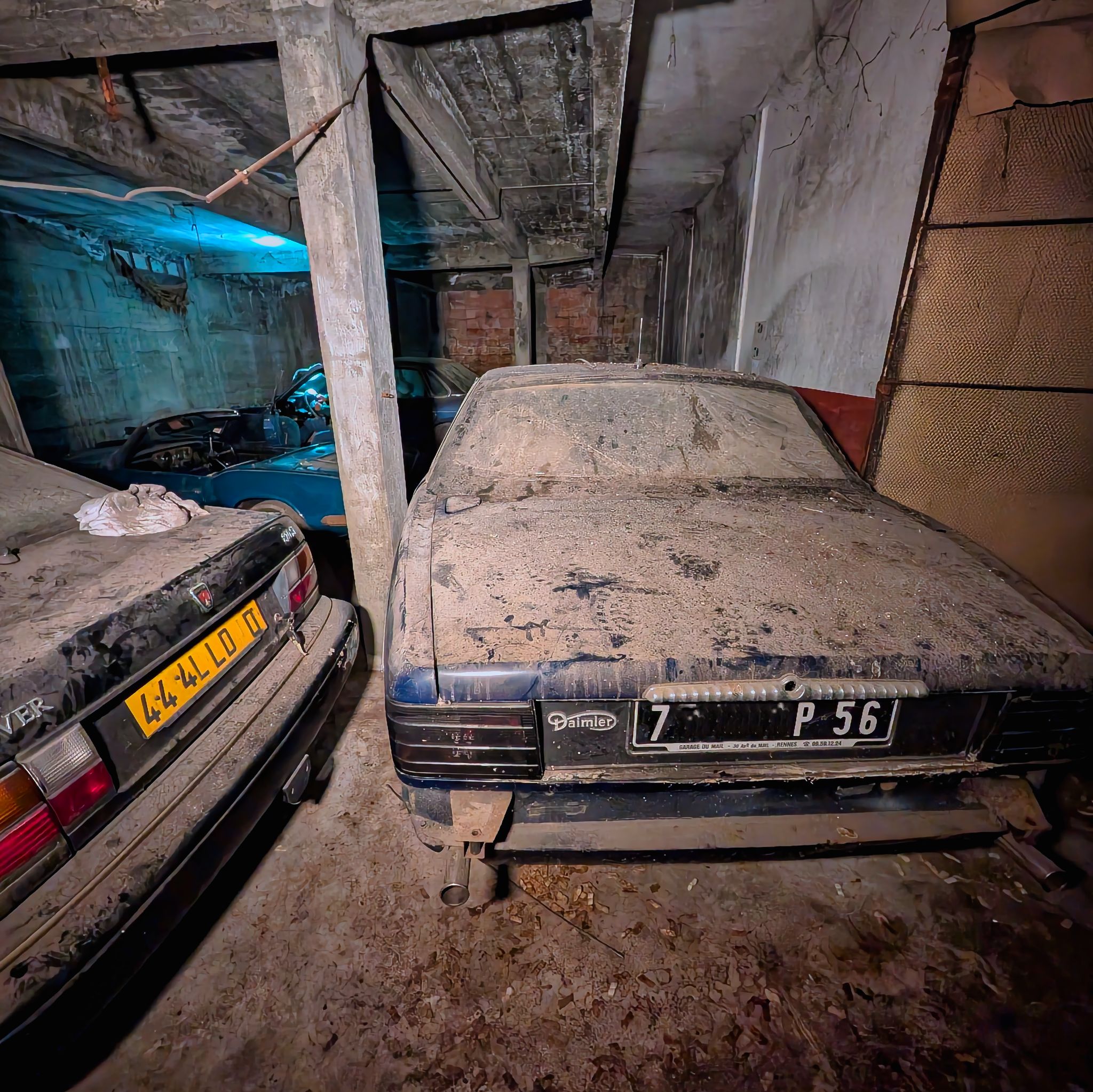 PXL 20250727 075440489