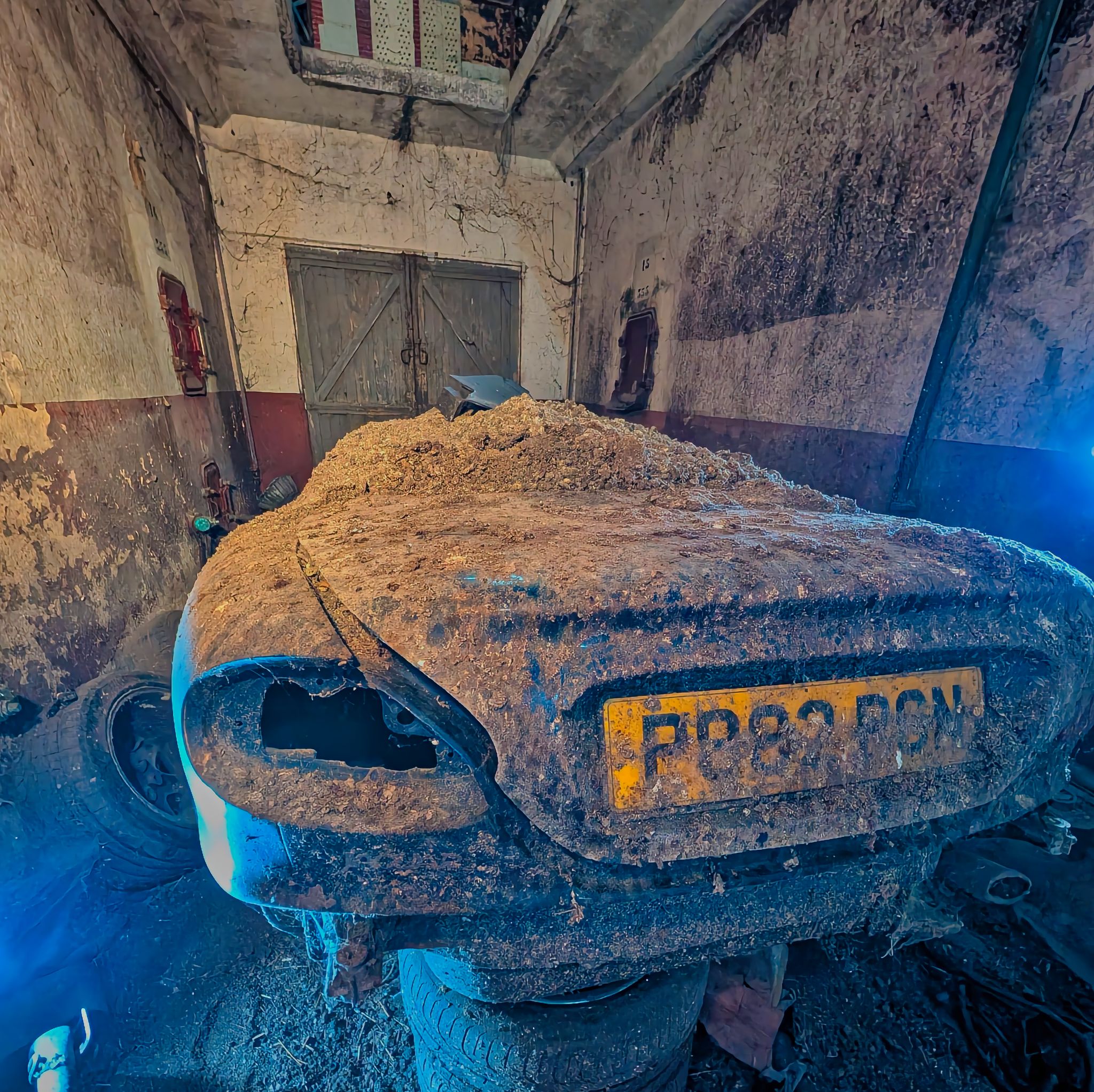 PXL 20250727 080239845