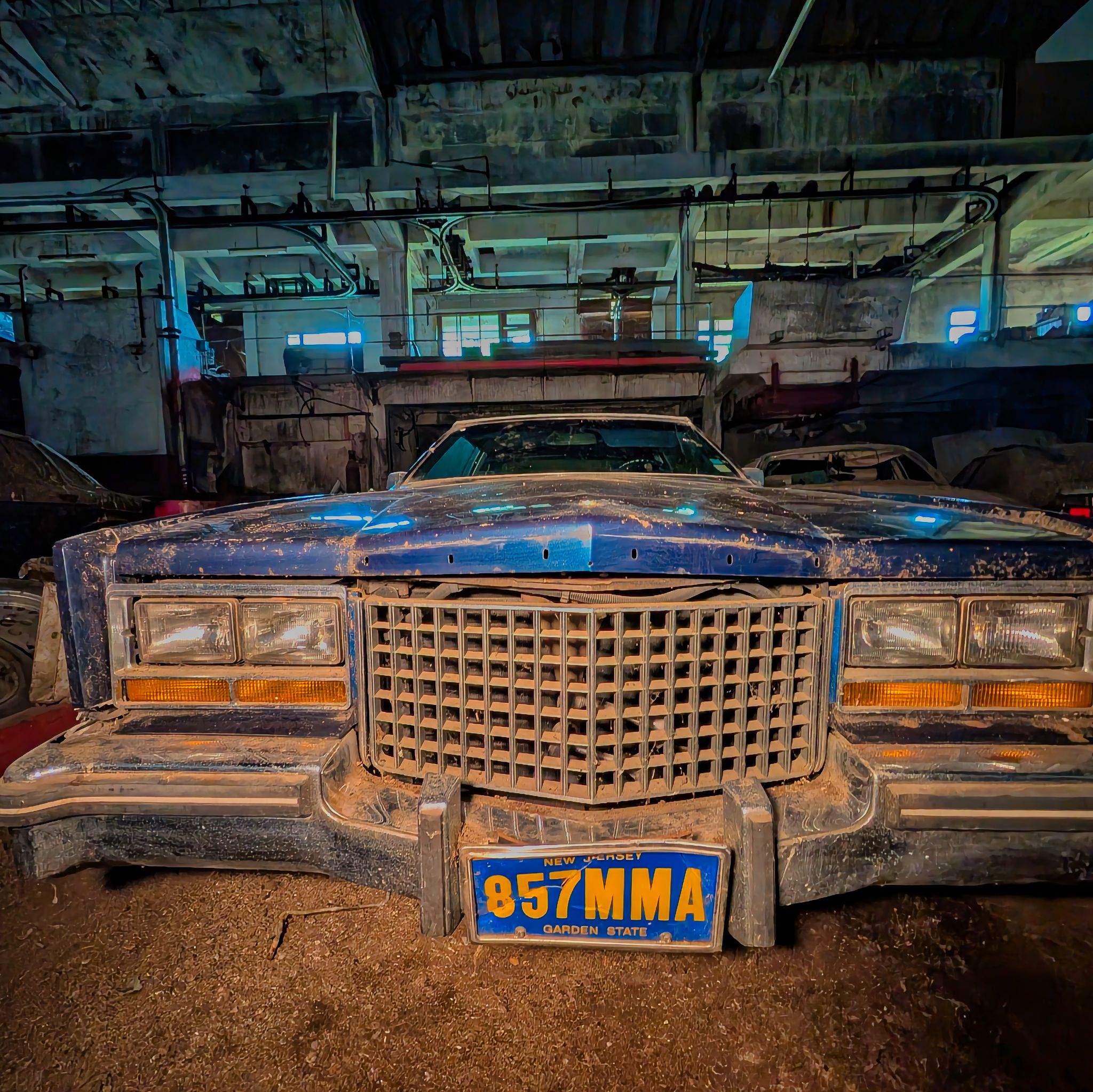 PXL 20250727 081343308