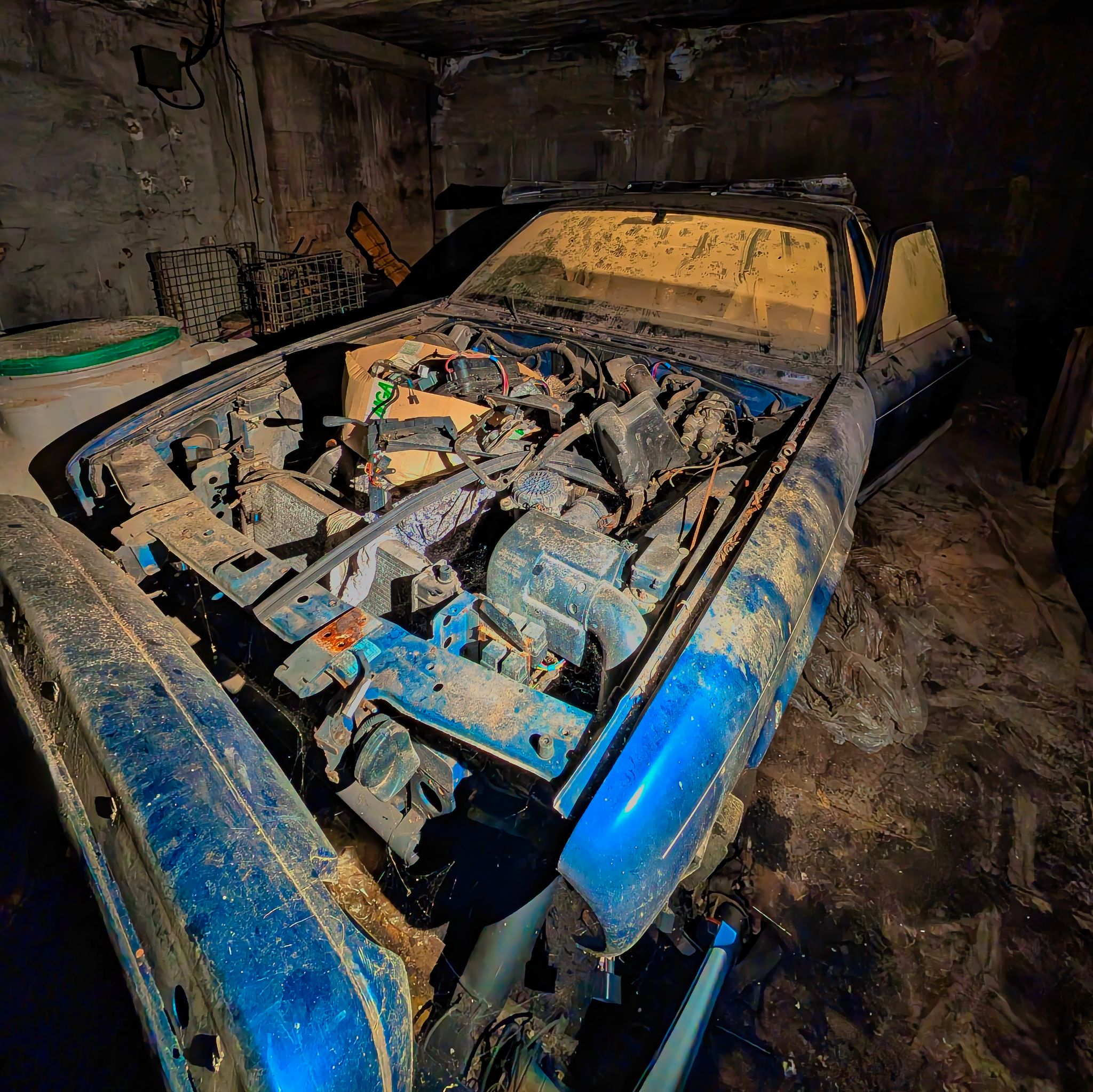 PXL 20250727 082528294