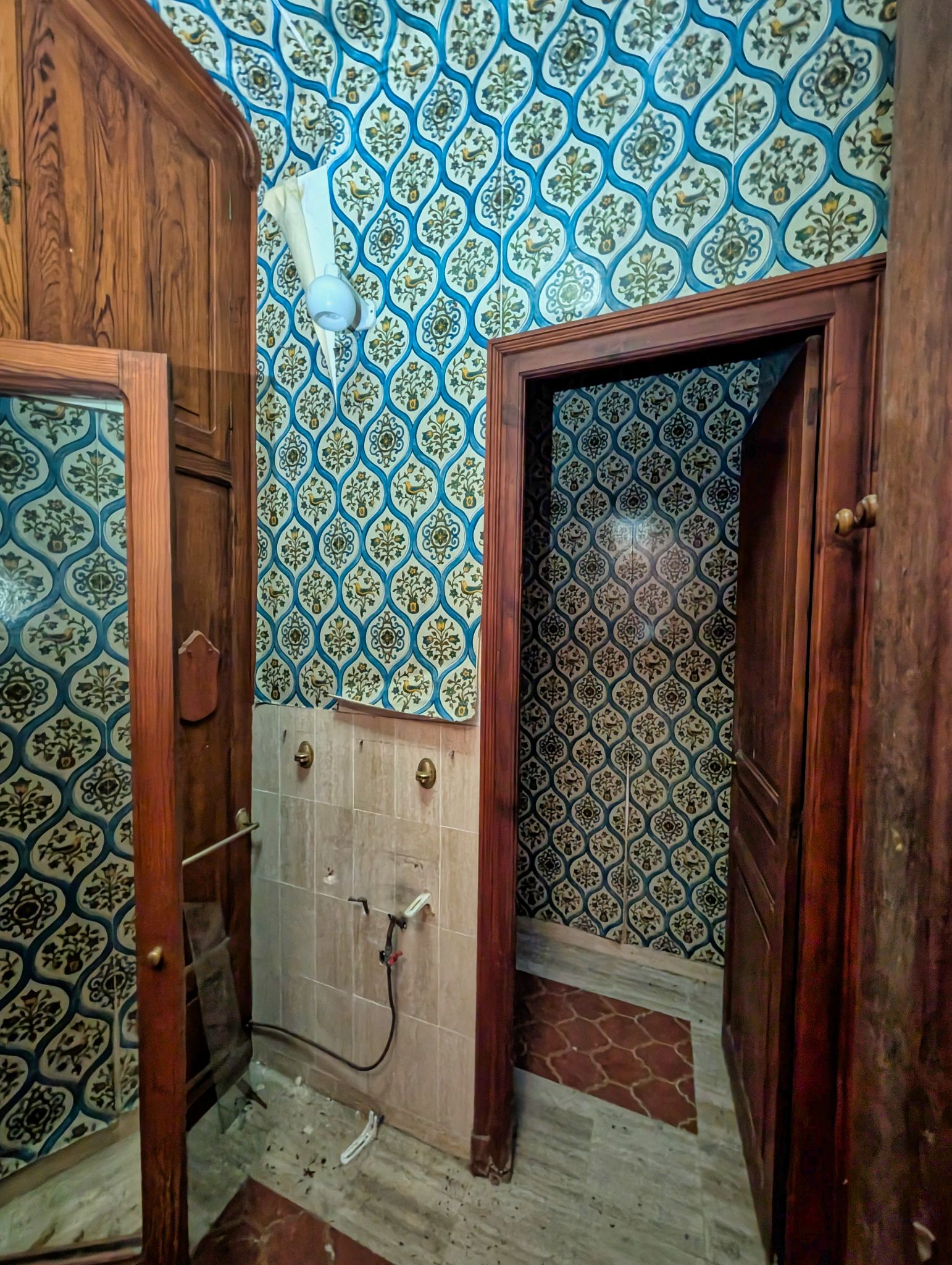 PXL 20250319 100256738