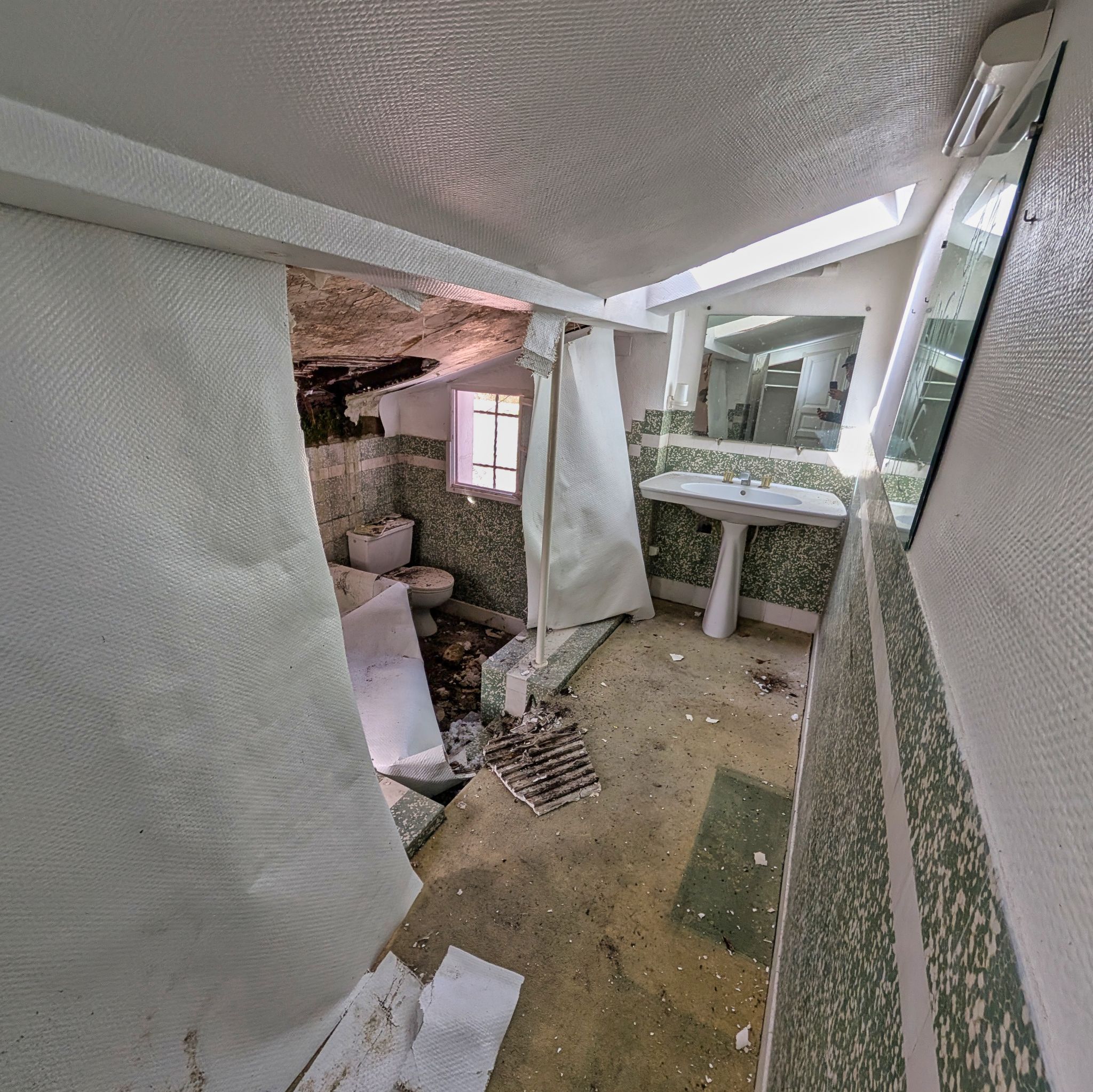 PXL 20250319 100401029