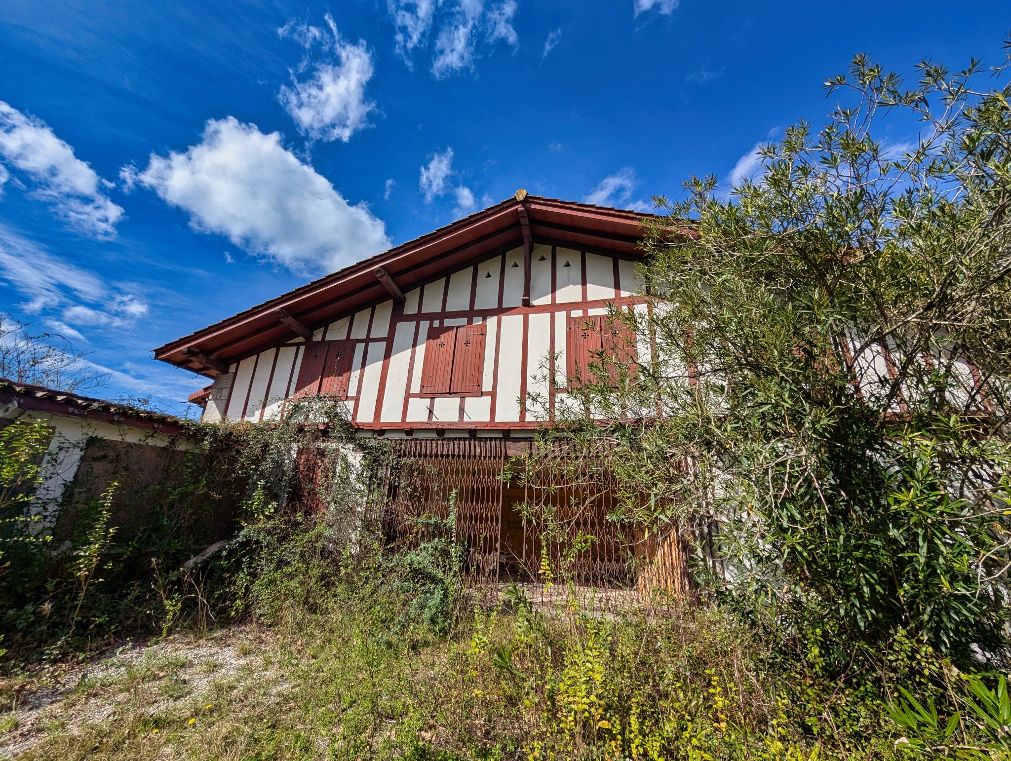 PXL 20250319 101235471