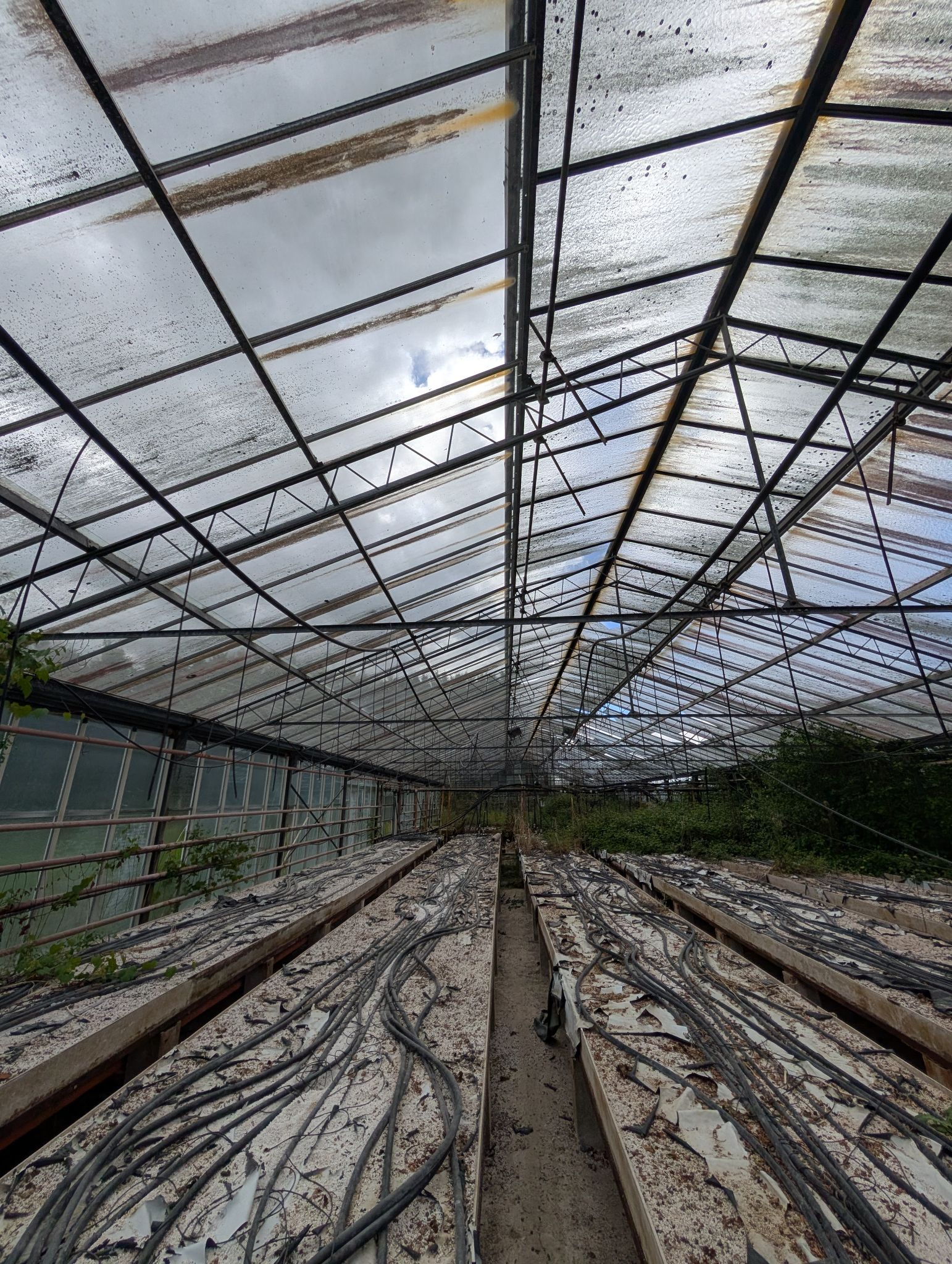 PXL 20250417 125717500