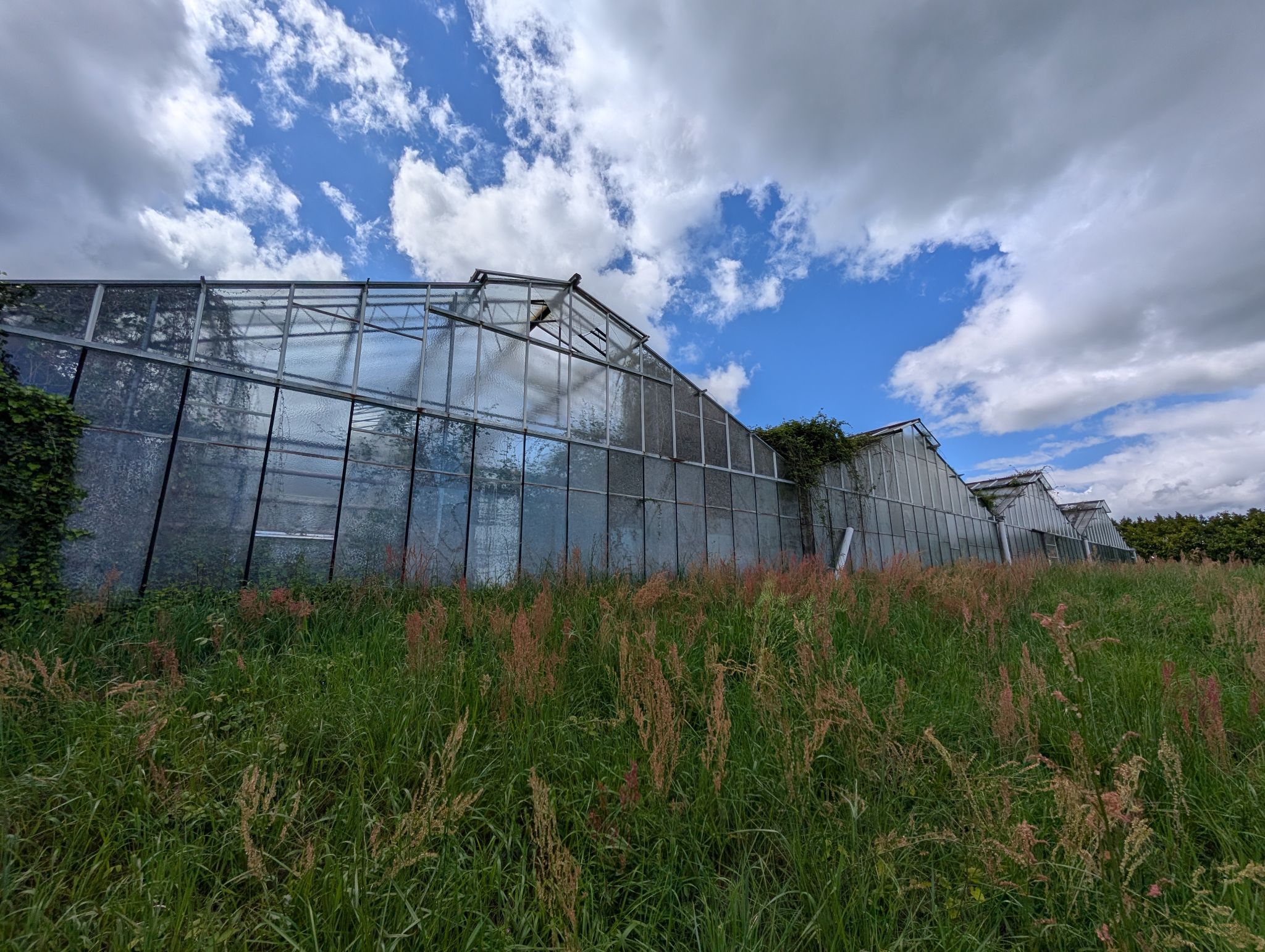 PXL 20250417 125938612