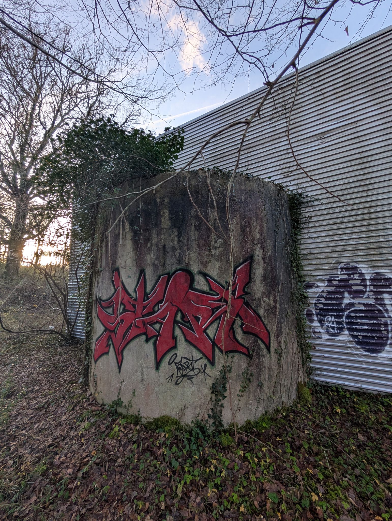 PXL 20251212 151252850