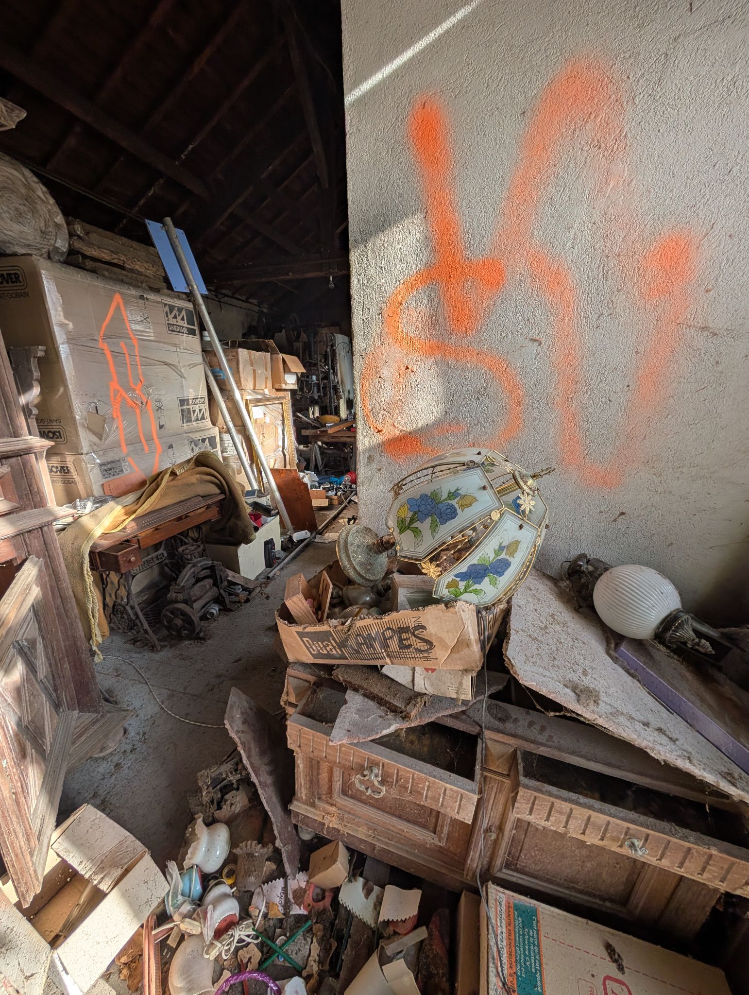 PXL 20251212 130437812