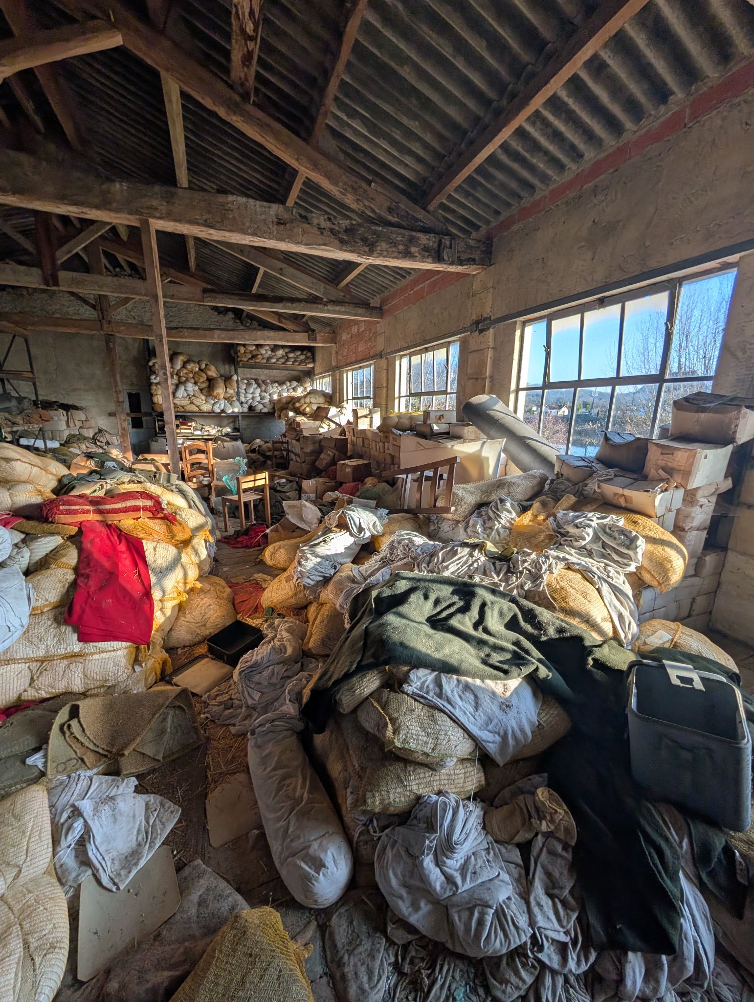 PXL 20251228 093108563