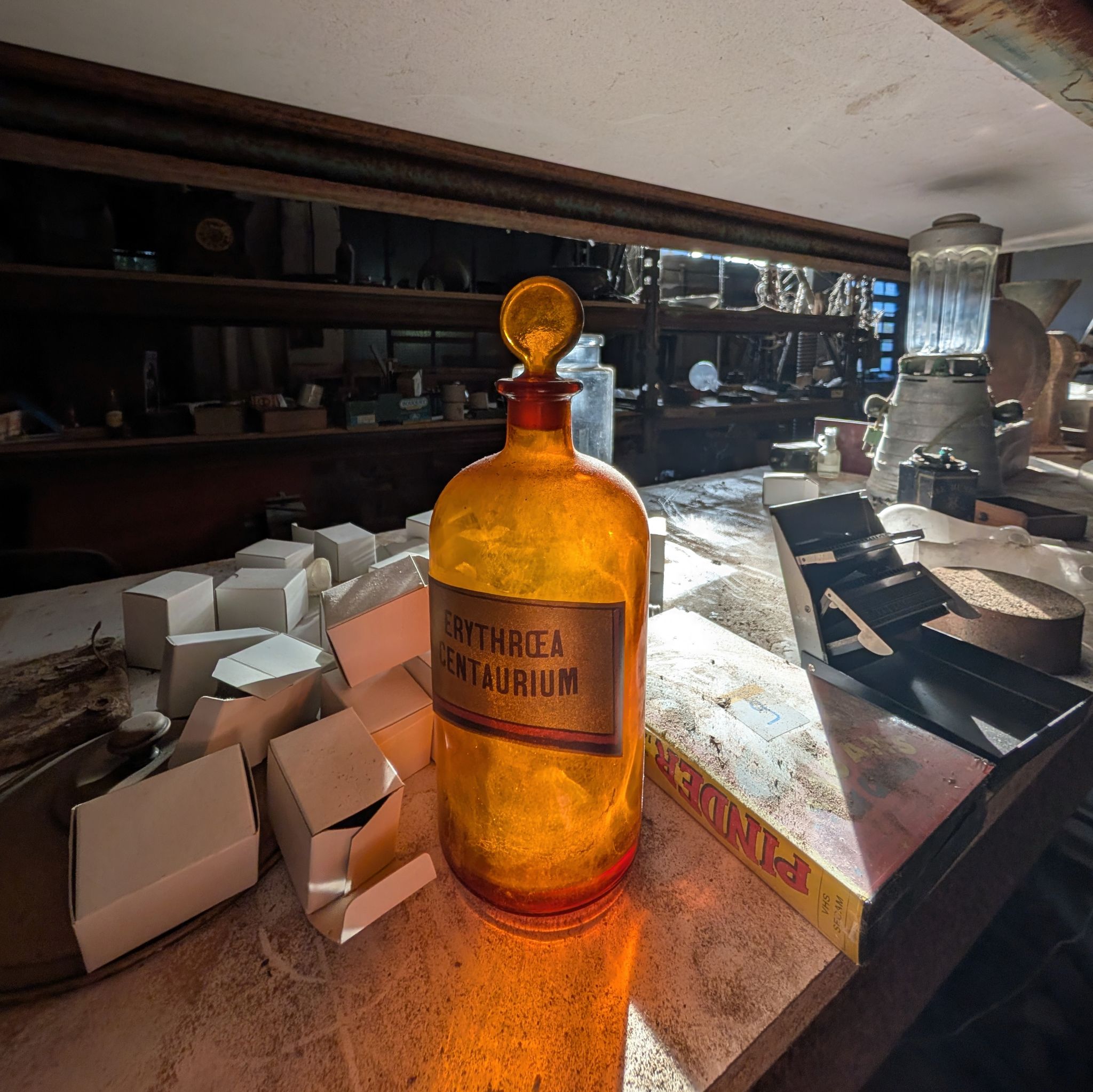 PXL 20251228 093452965