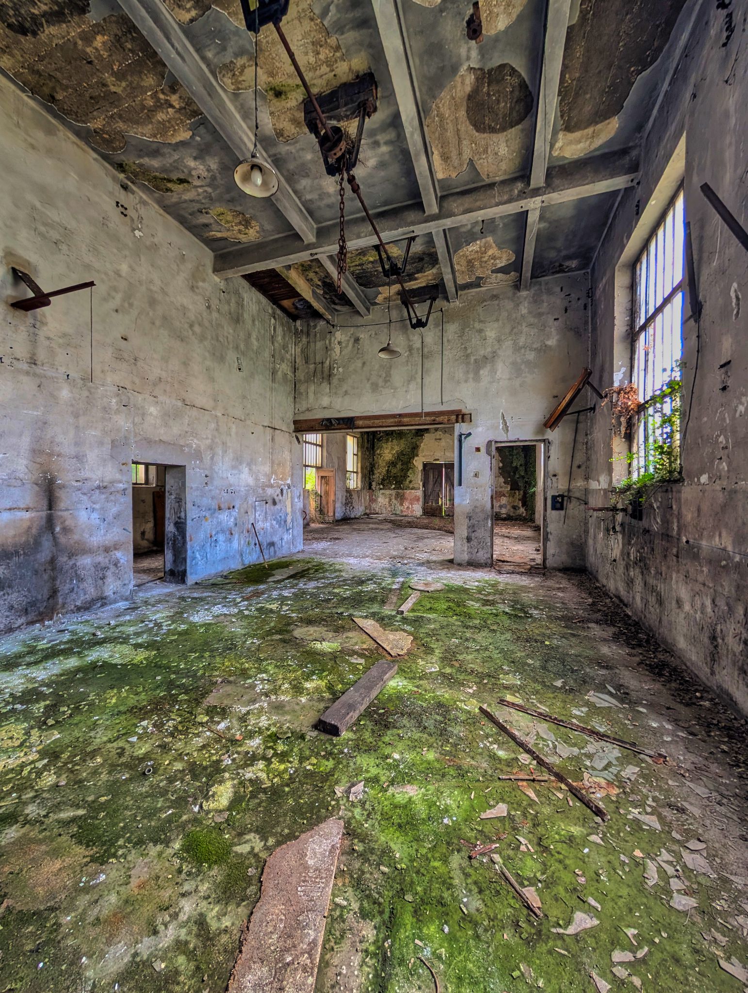 PXL 20250413 130555829