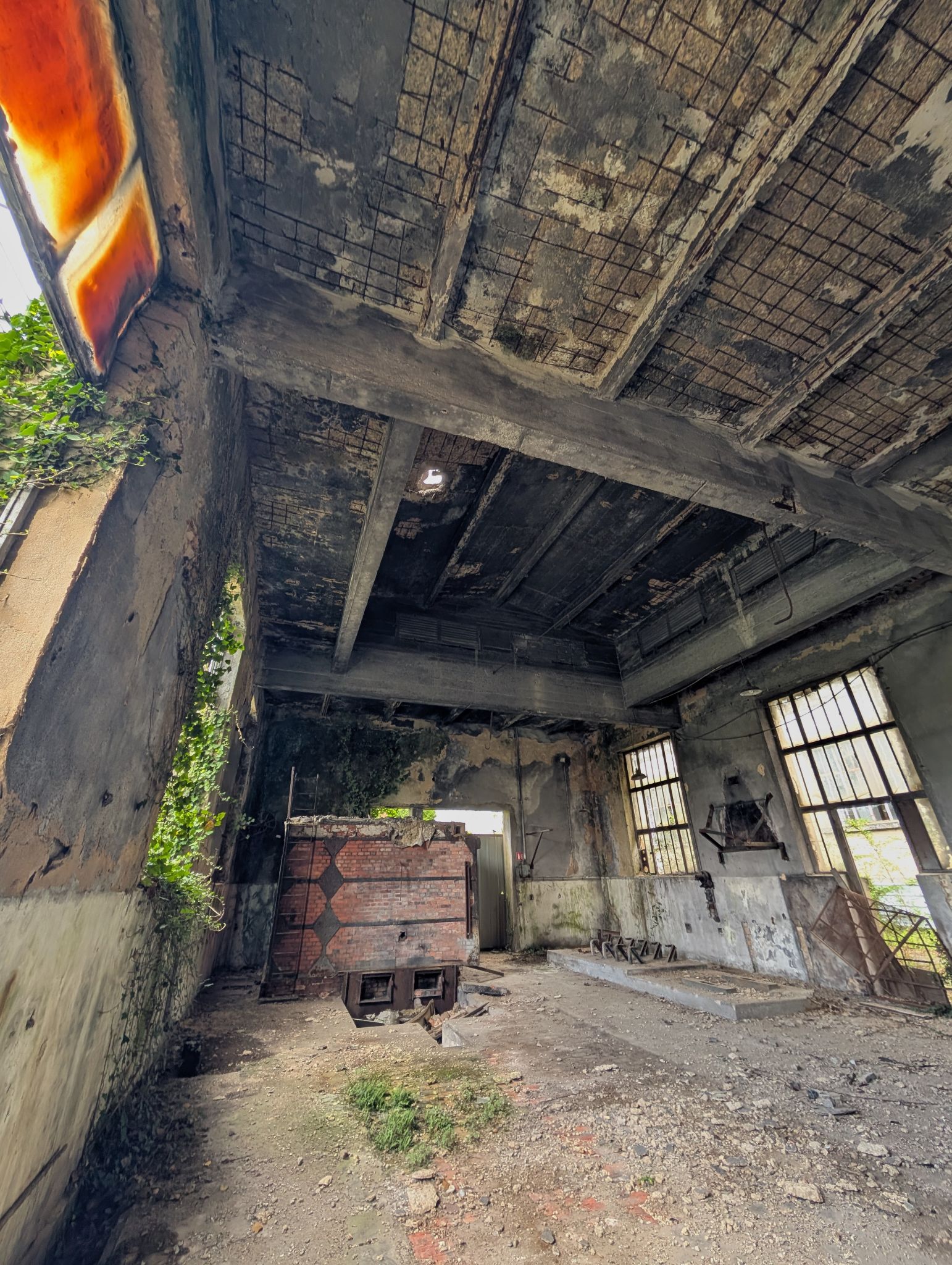 PXL 20250413 130606780