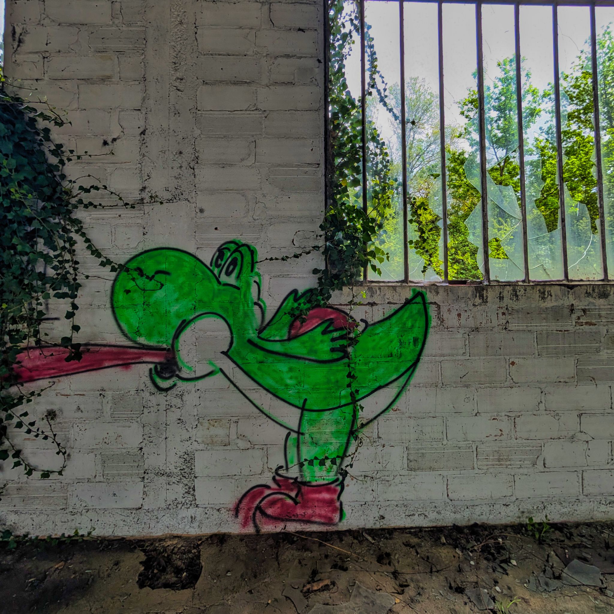 PXL 20250413 131515721