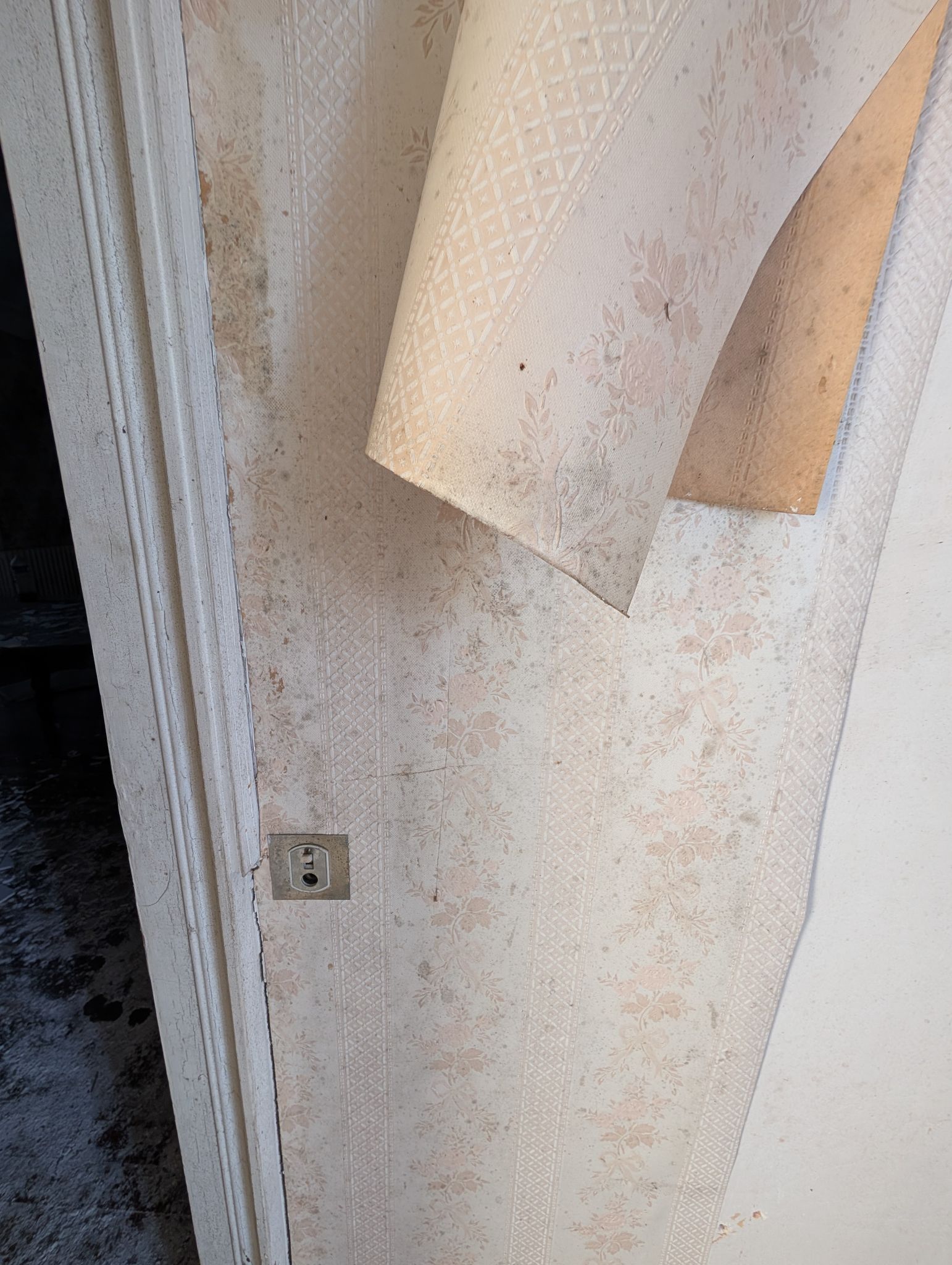 PXL 20251207 150719195