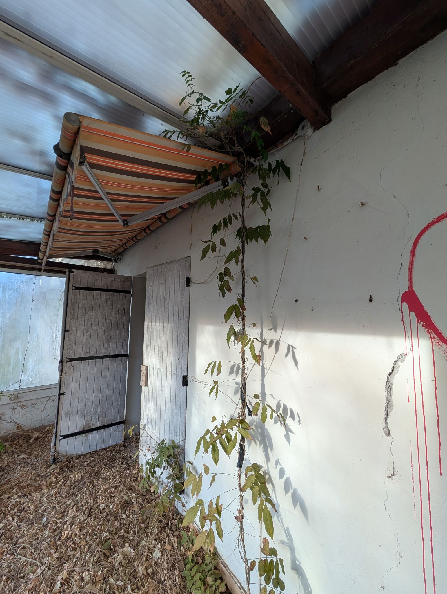 PXL 20251207 150942419