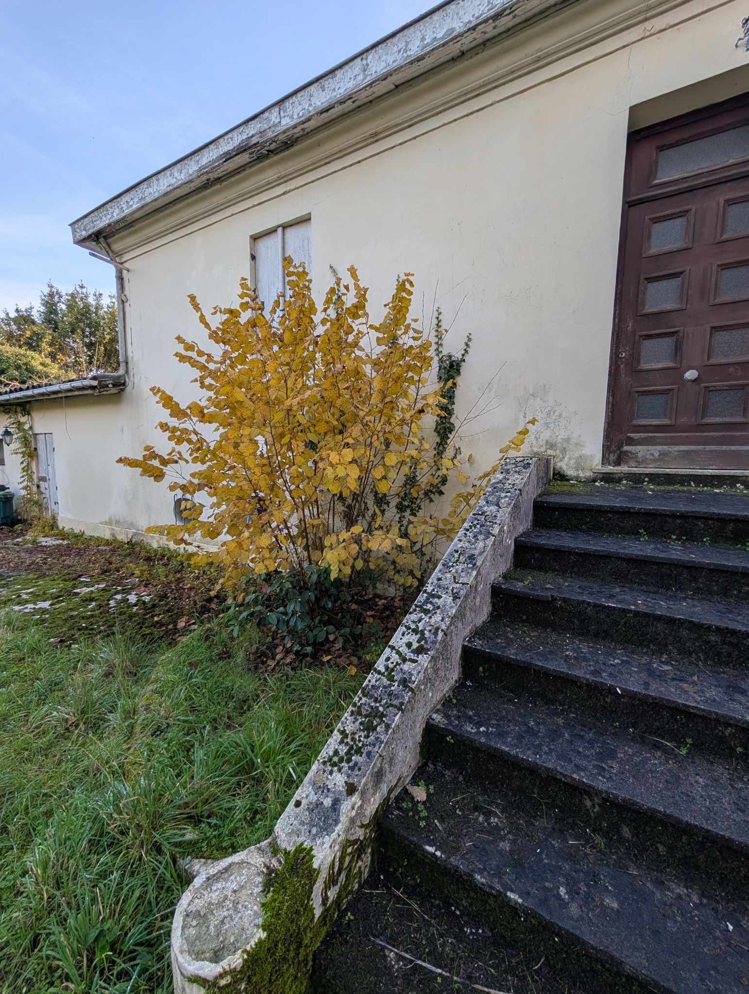 PXL 20251207 151036851