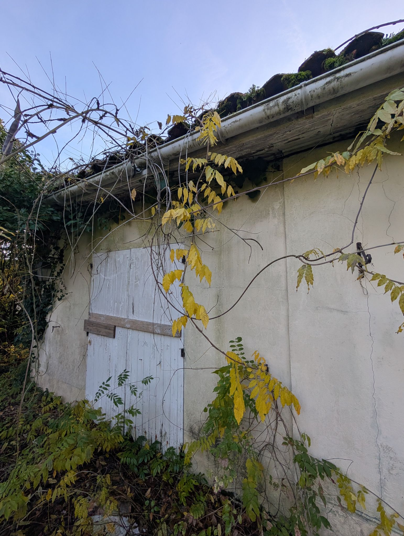 PXL 20251207 151107455