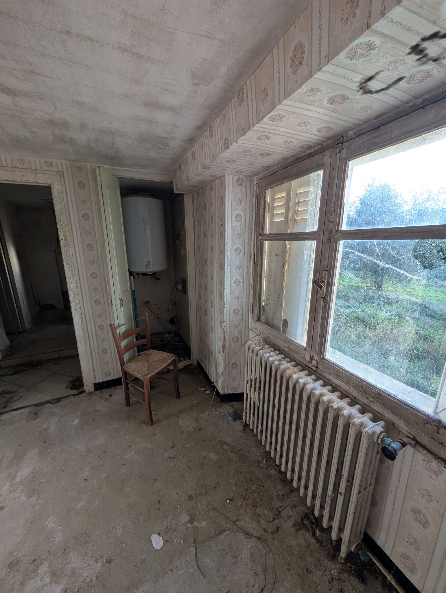 PXL 20251207 151211994