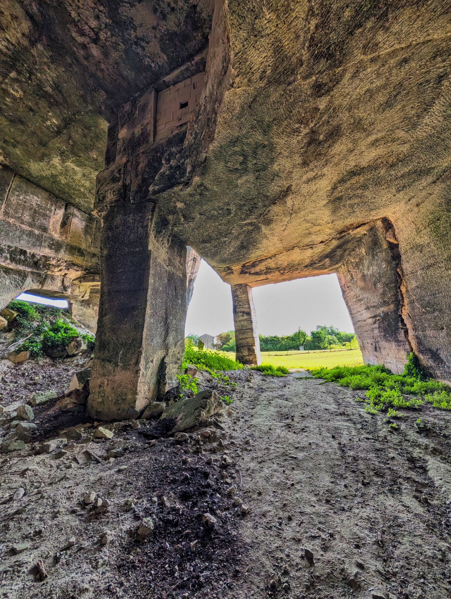 PXL 20250609 082311047