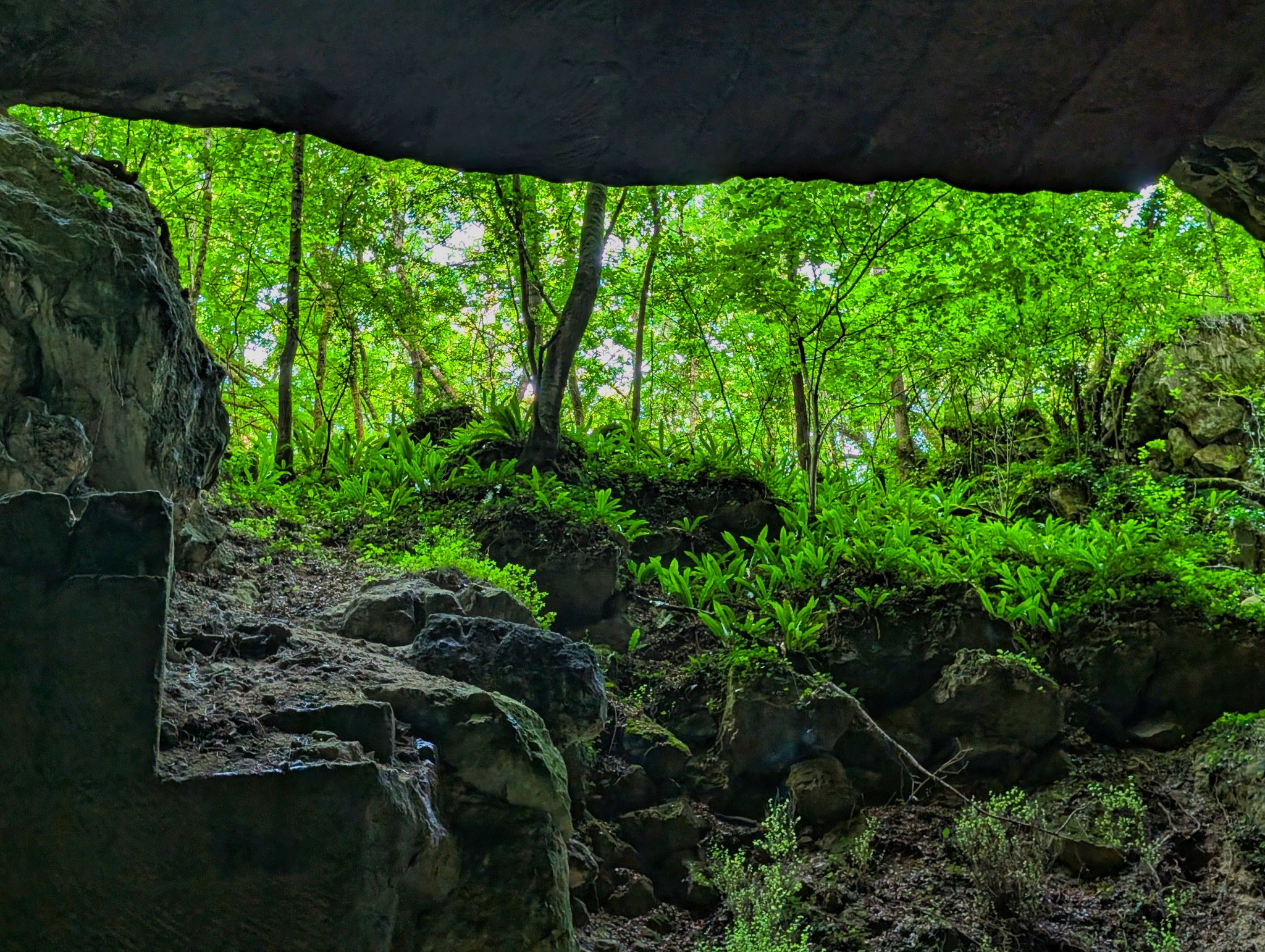 PXL 20250609 082813398