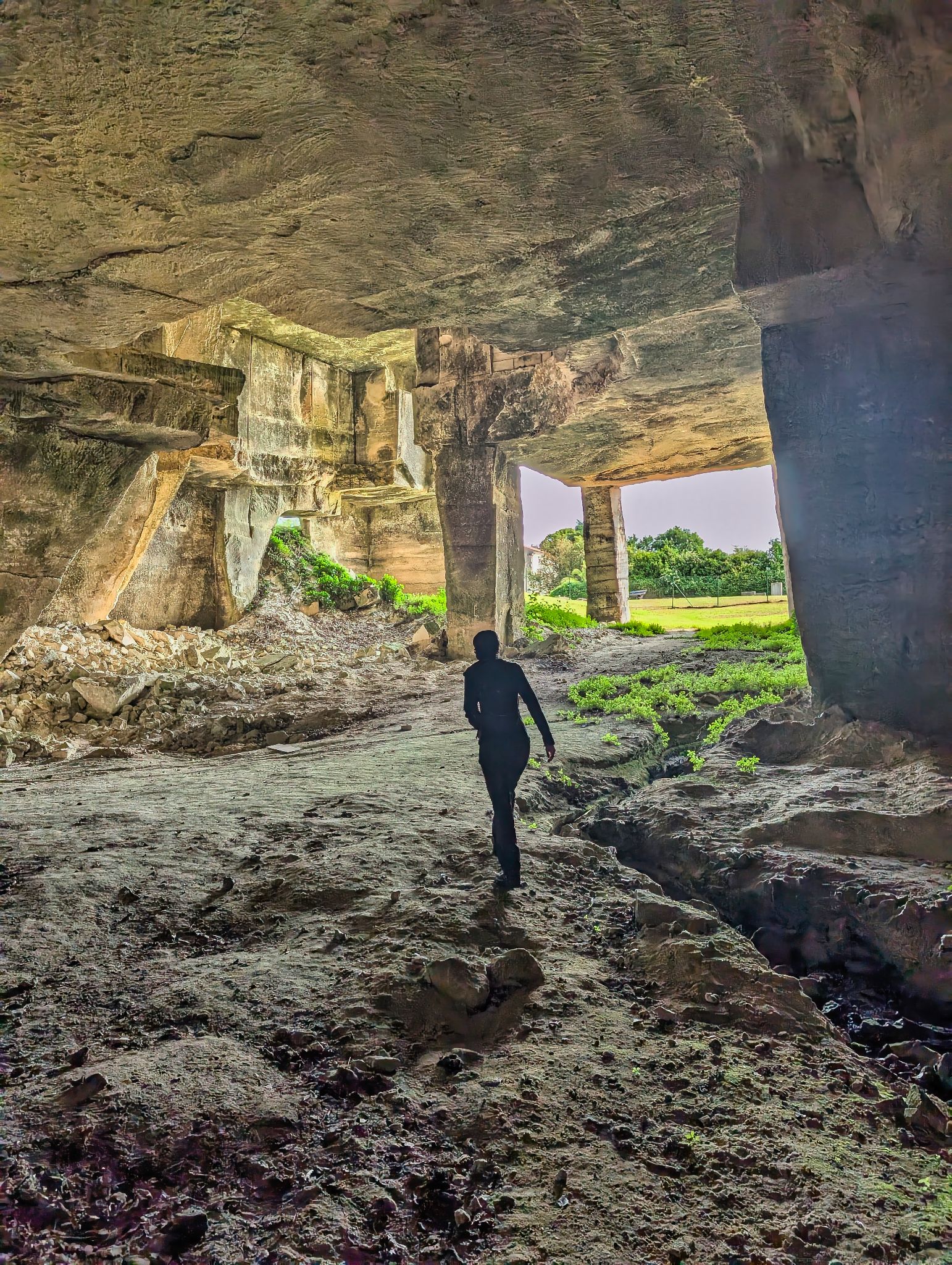 PXL 20250609 083744573