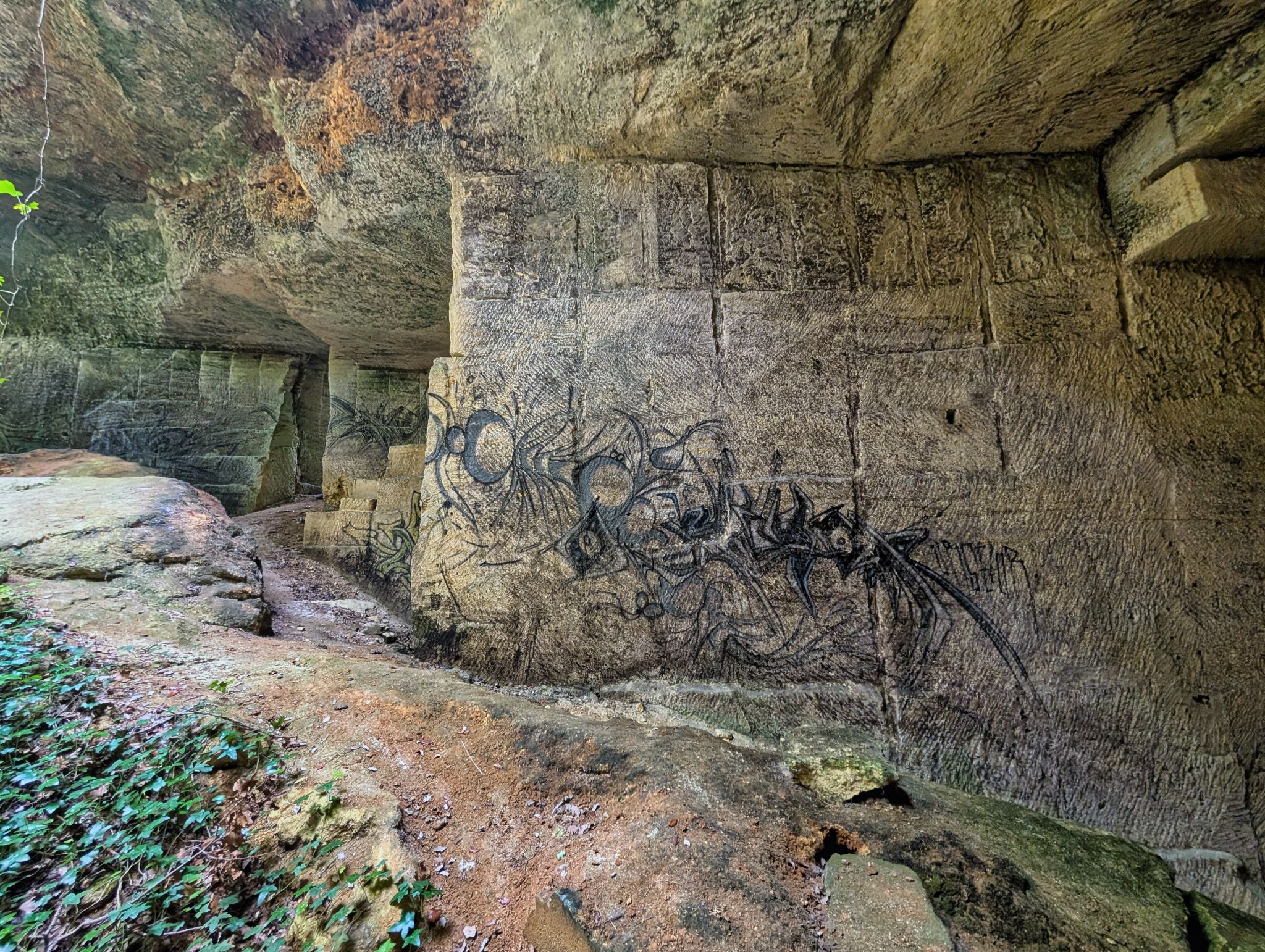 PXL 20250609 110915854