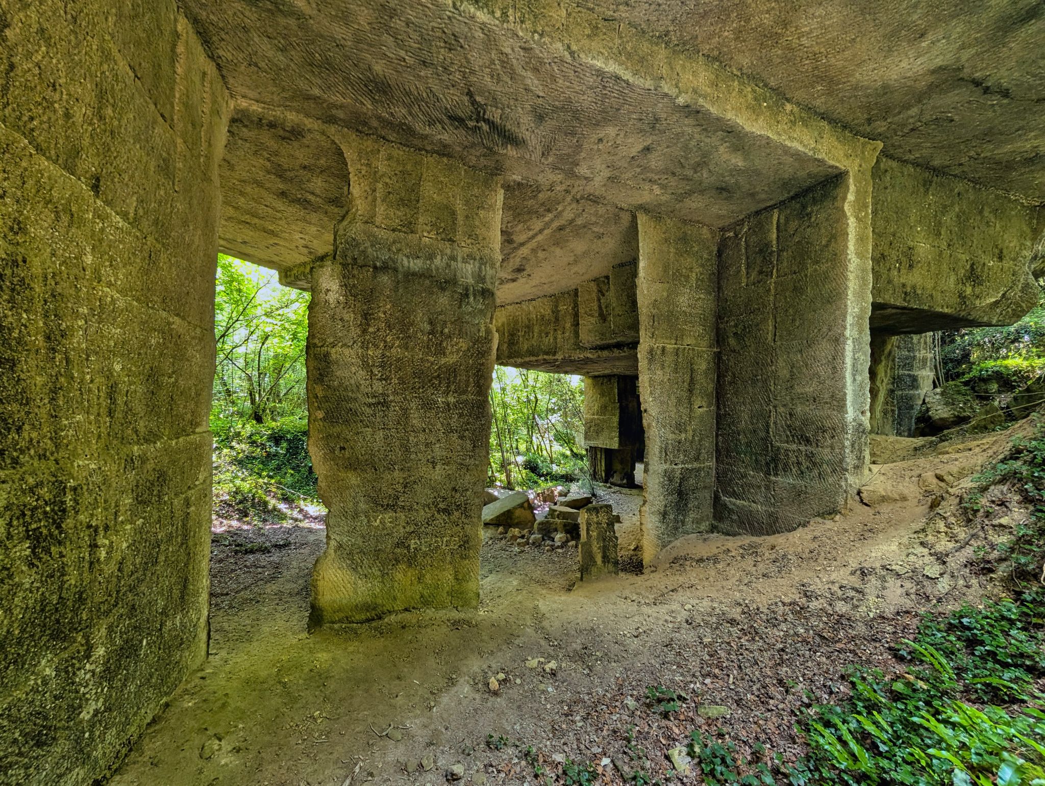 PXL 20250609 113441584