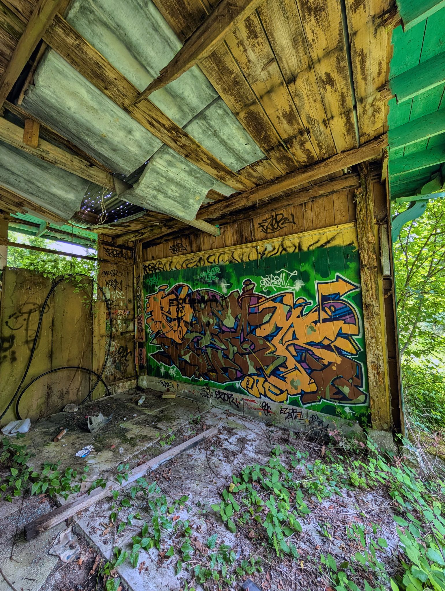 PXL 20250609 123111071