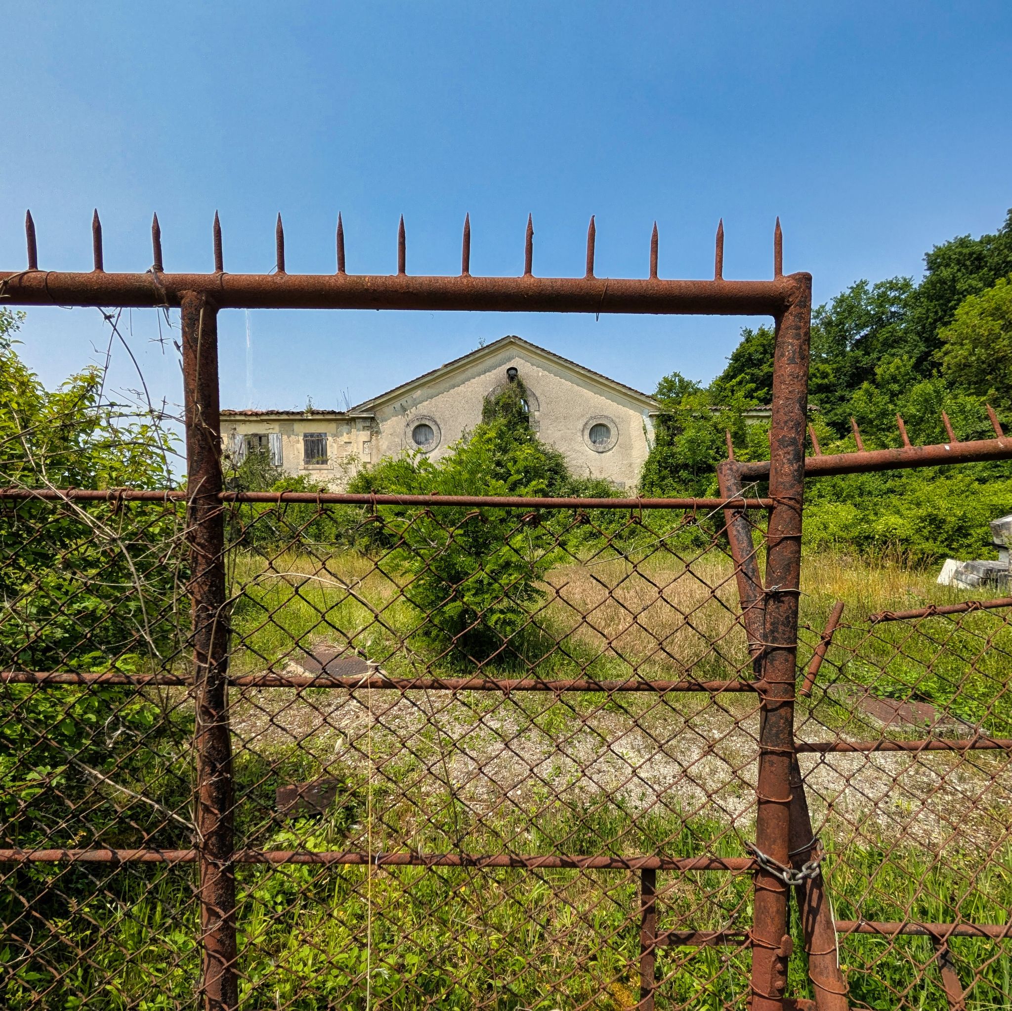 PXL 20250609 125856360