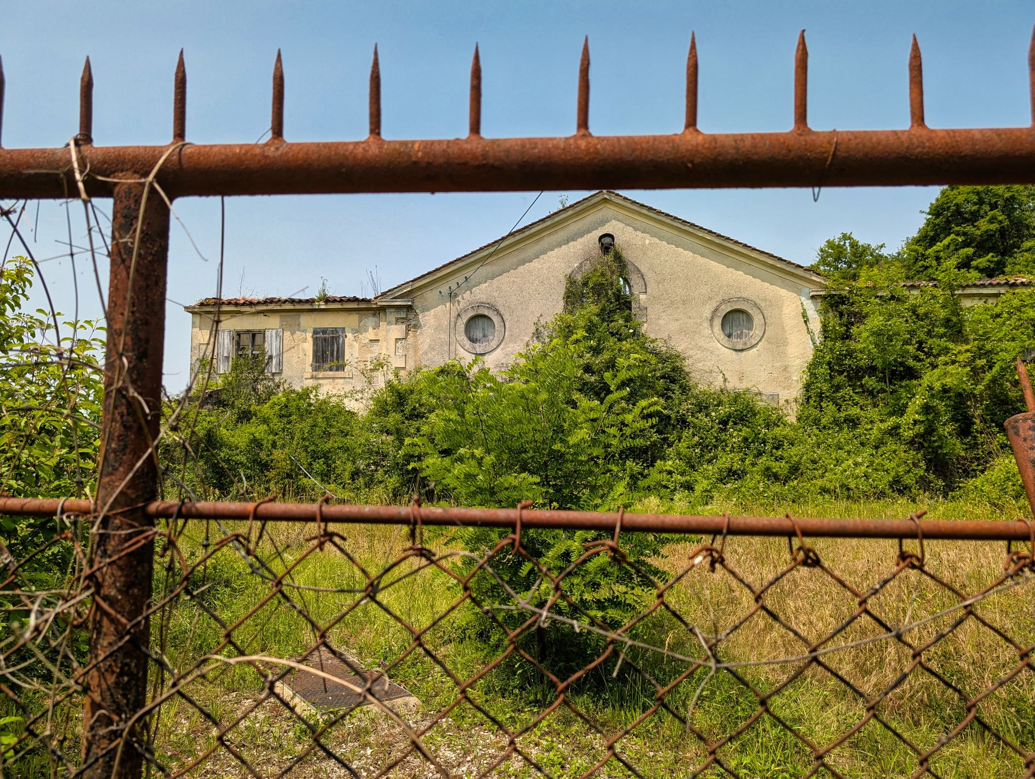 PXL 20250609 125913674