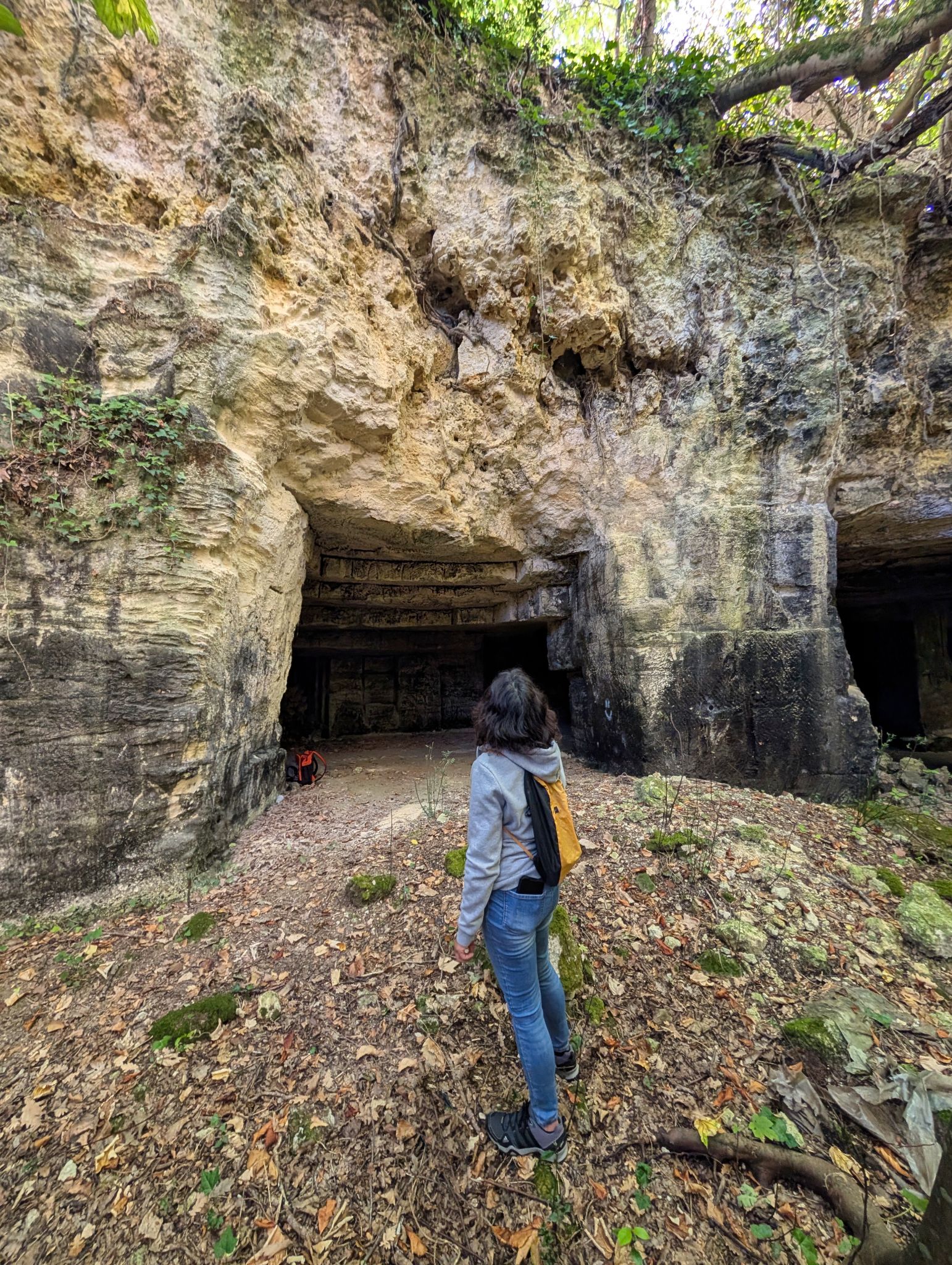 PXL 20250824 080111425