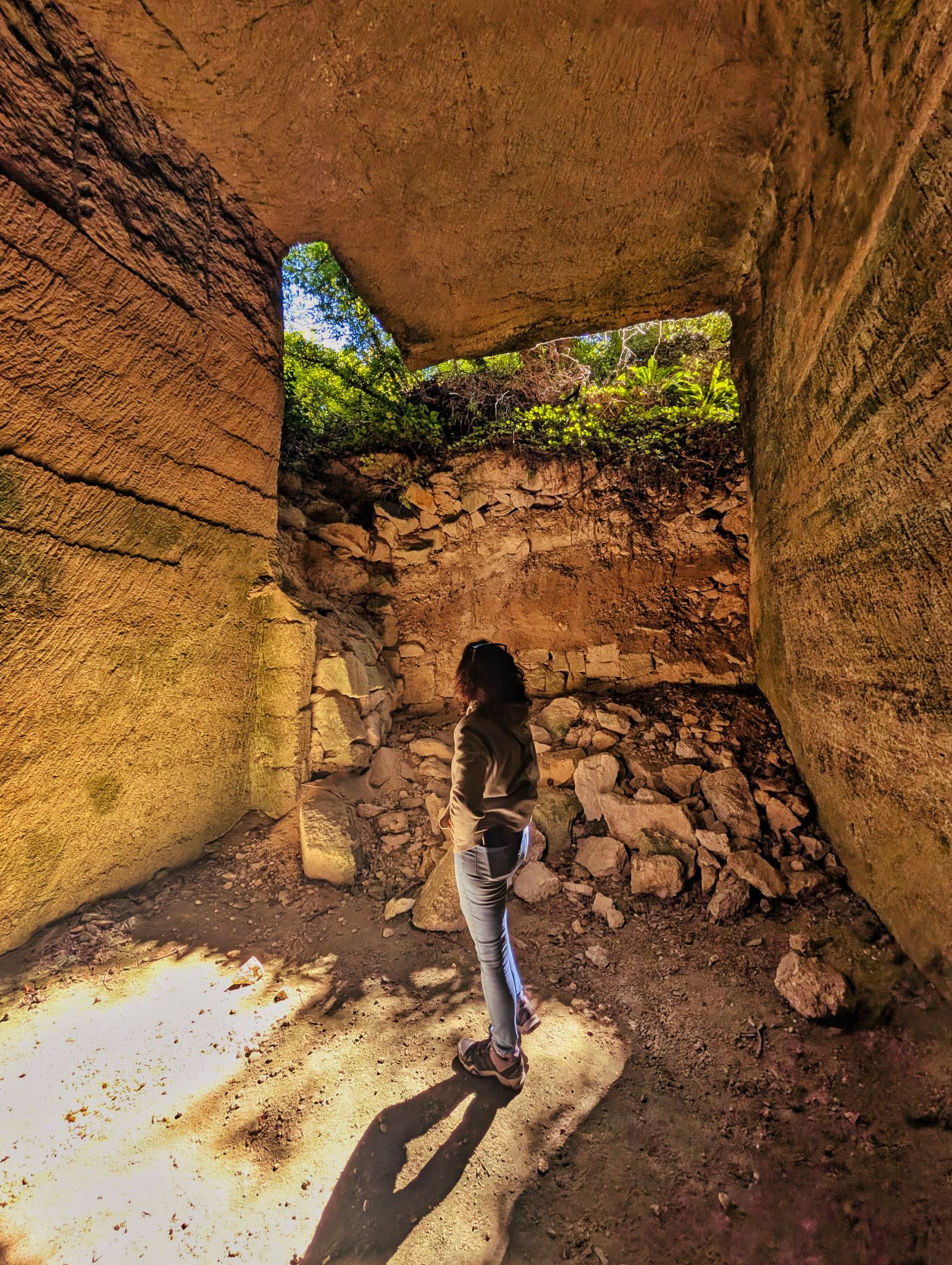 PXL 20250824 095233192