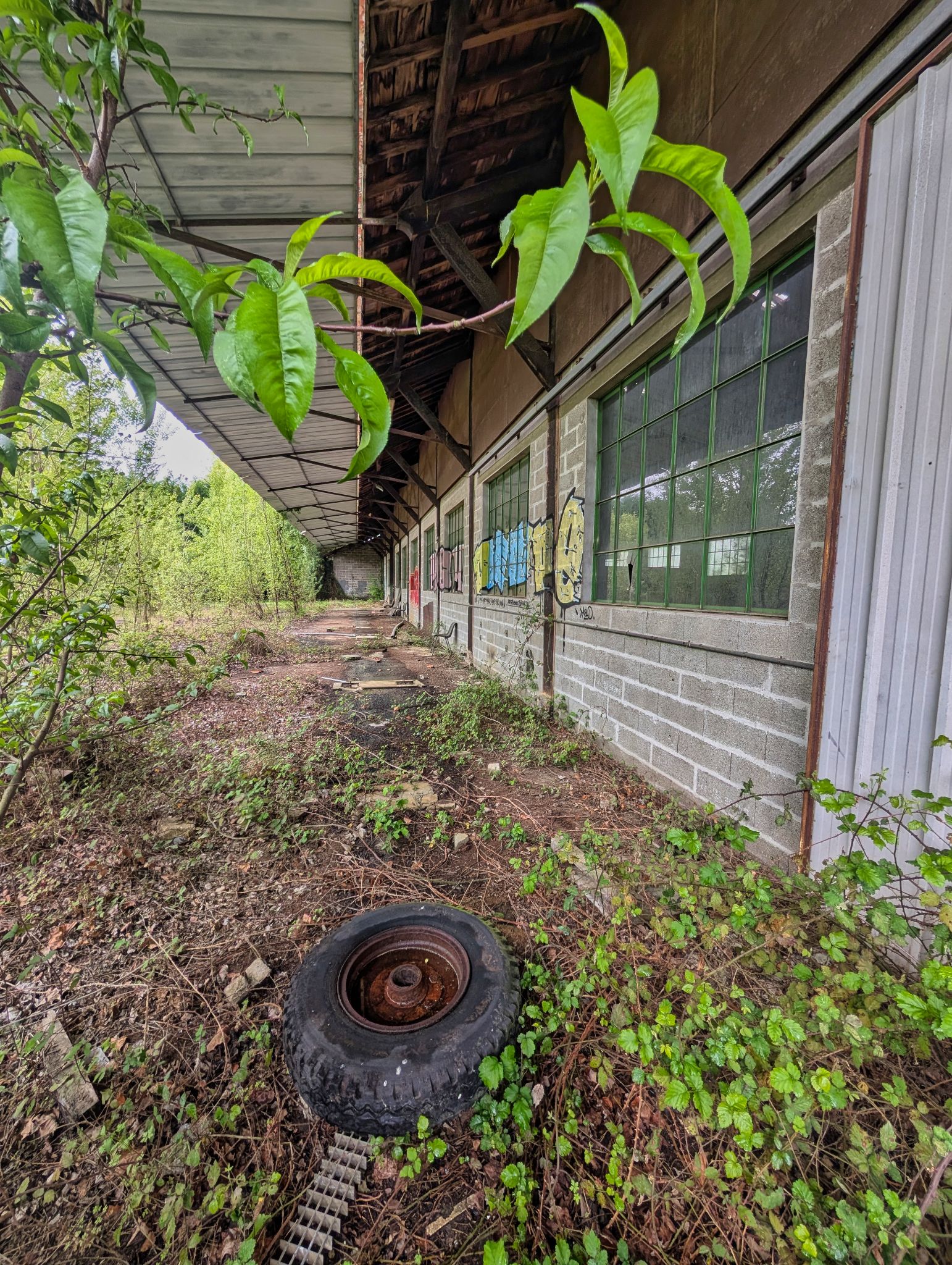 PXL 20250427 091718848