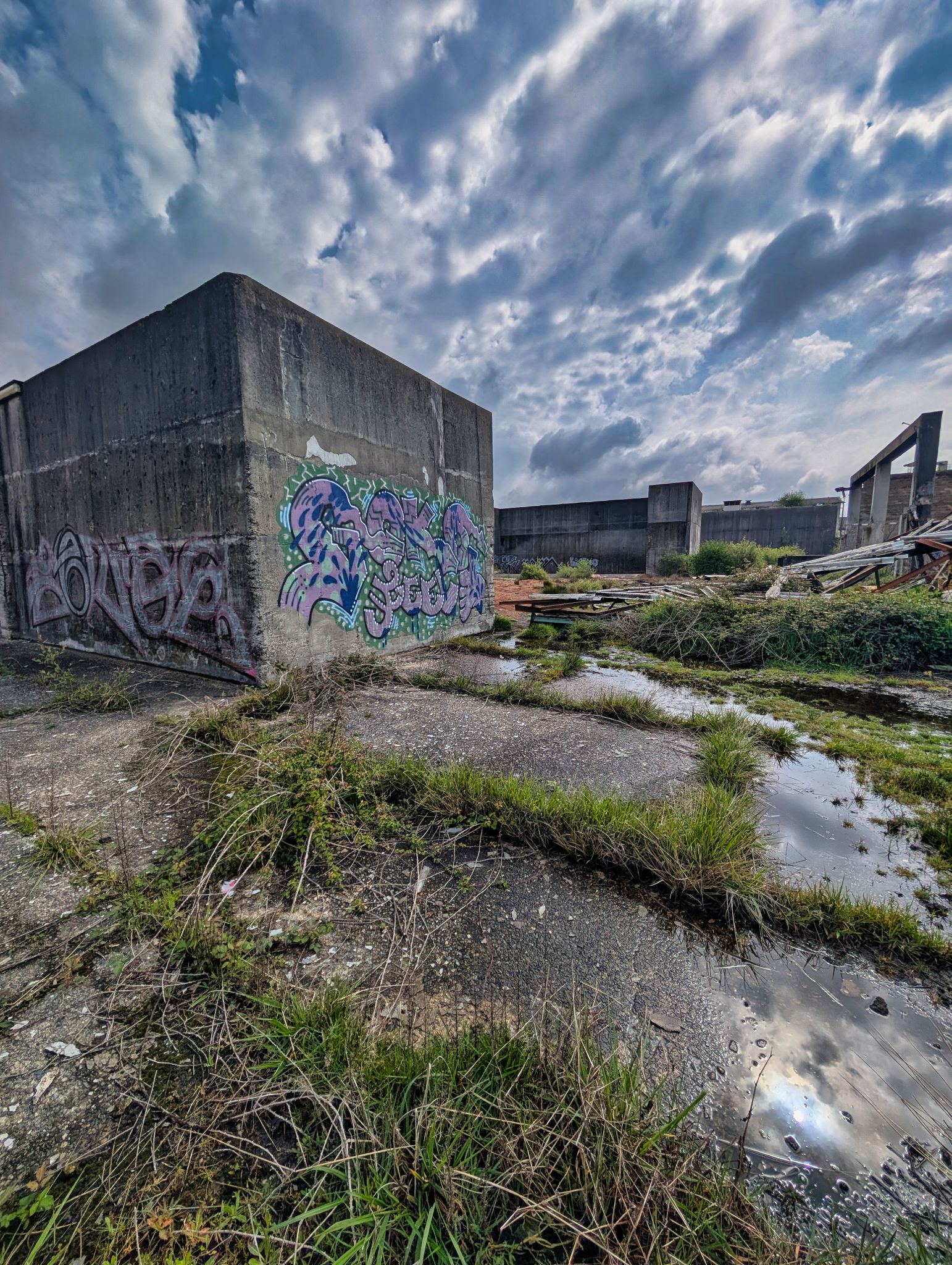 PXL 20250427 093515450