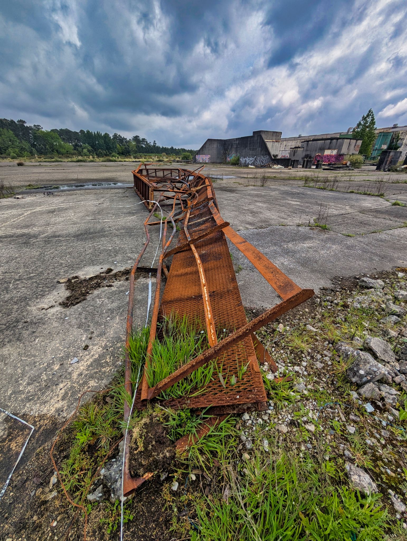 PXL 20250427 093931561