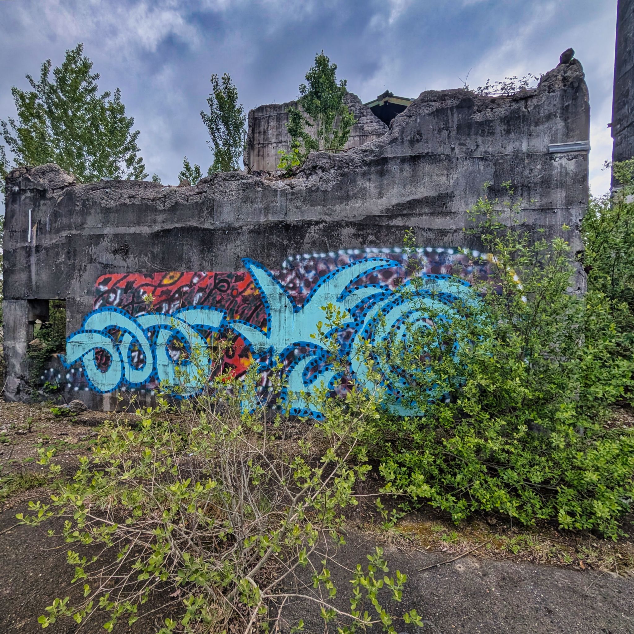 PXL 20250427 094256467.MP