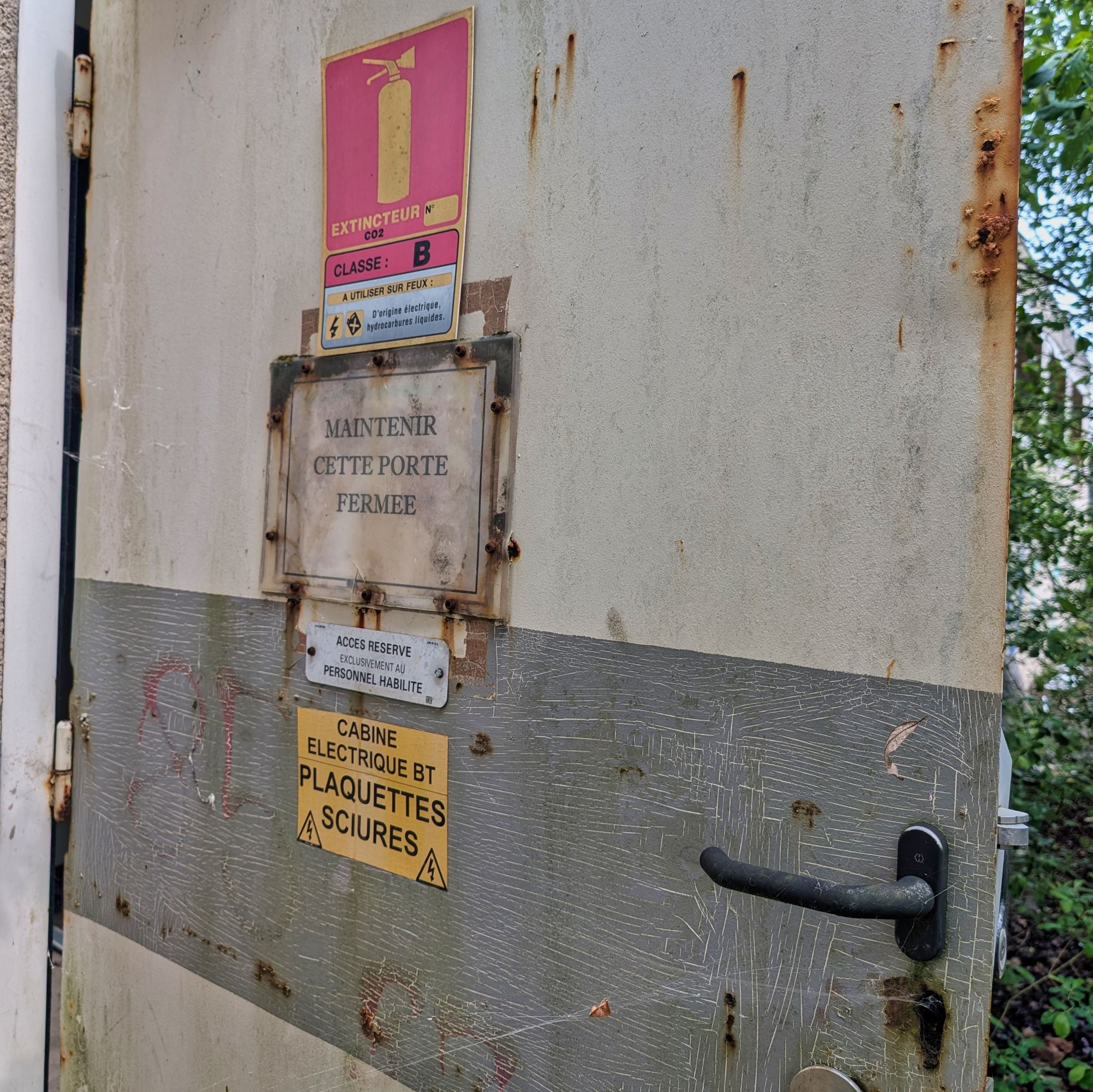 PXL 20250427 094621204