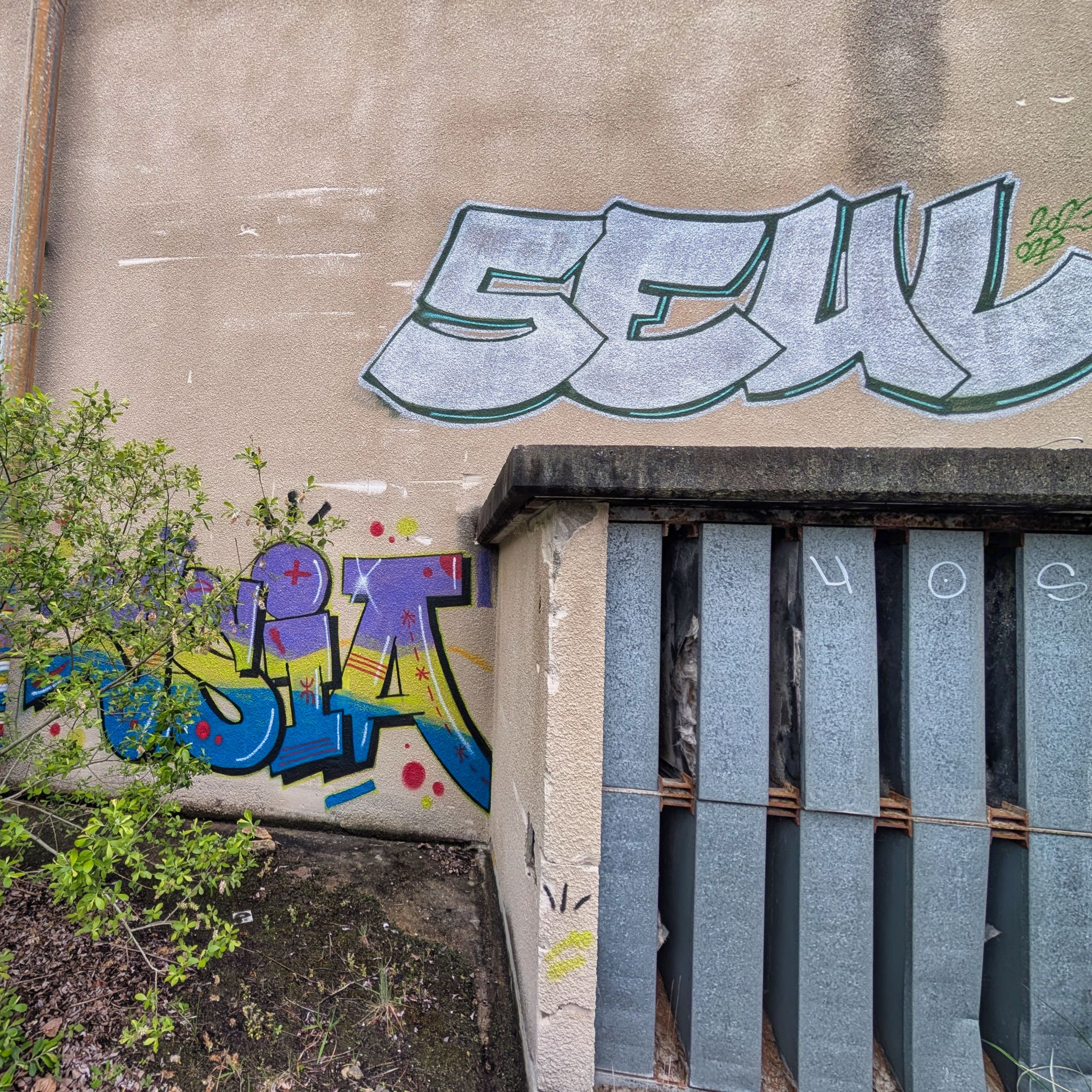 PXL 20250427 094733037