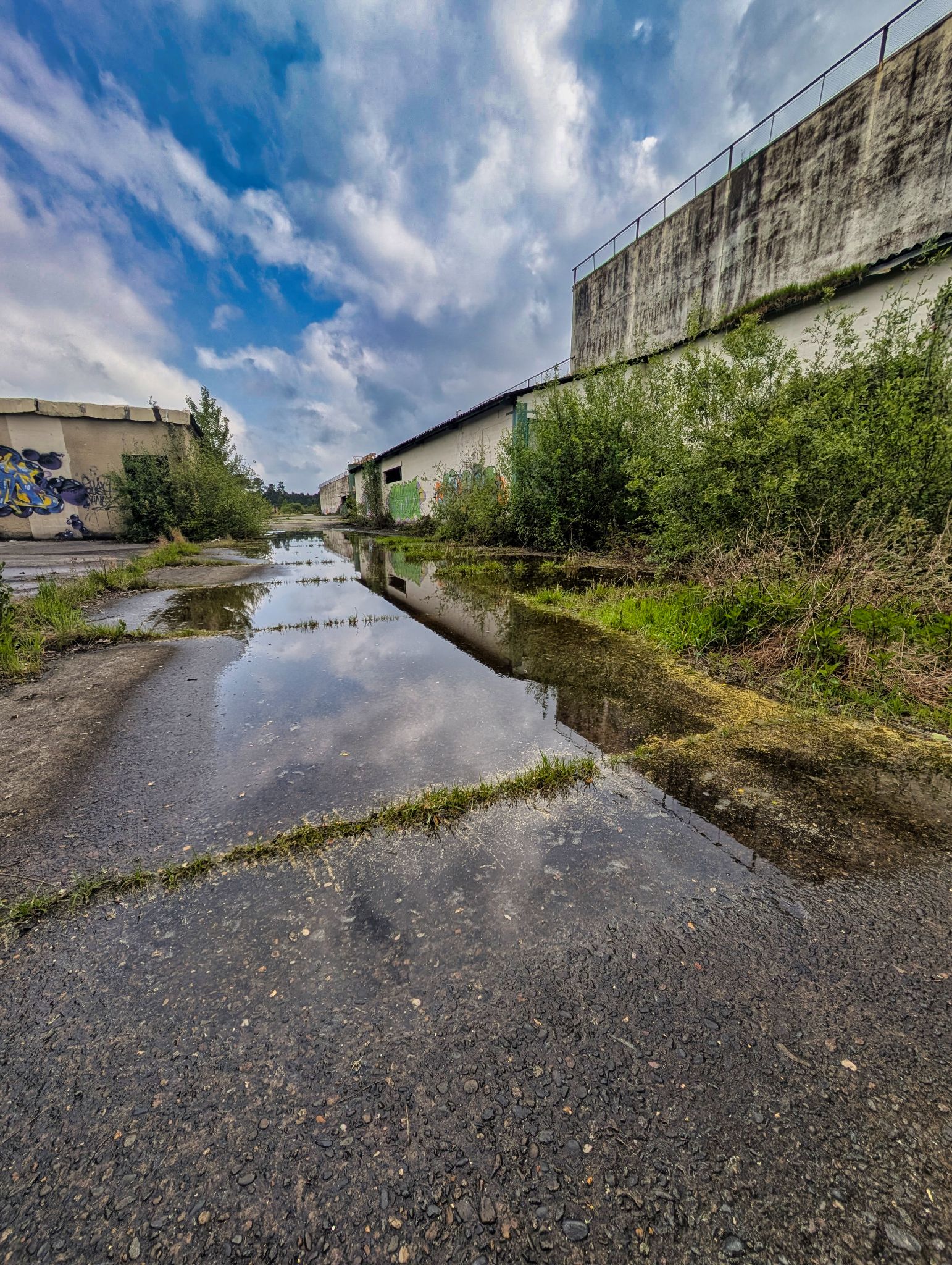 PXL 20250427 094933080