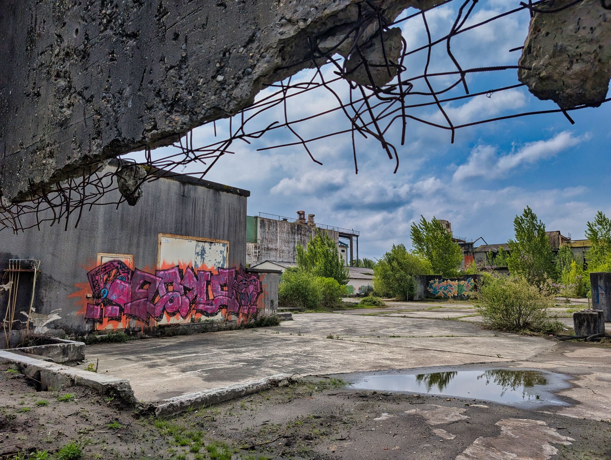 PXL 20250427 102818727