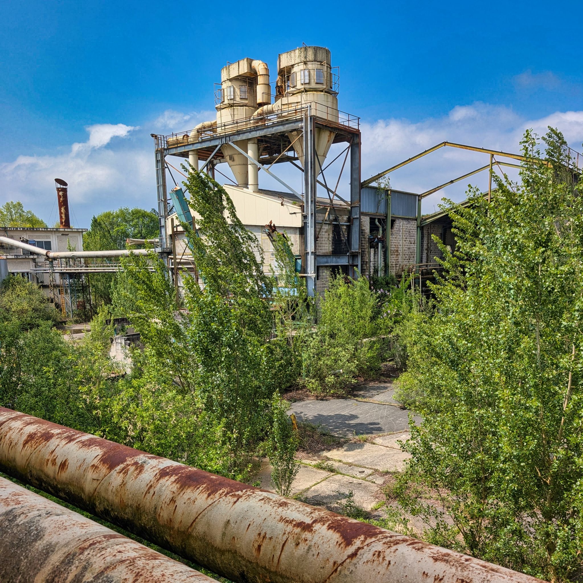 PXL 20250427 104819803