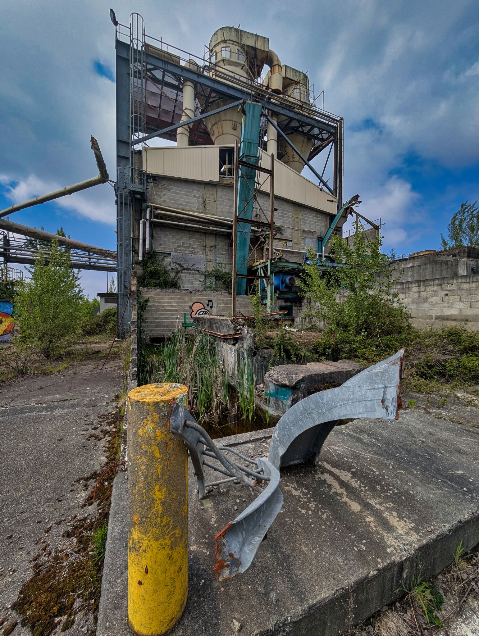 PXL 20250427 124725182